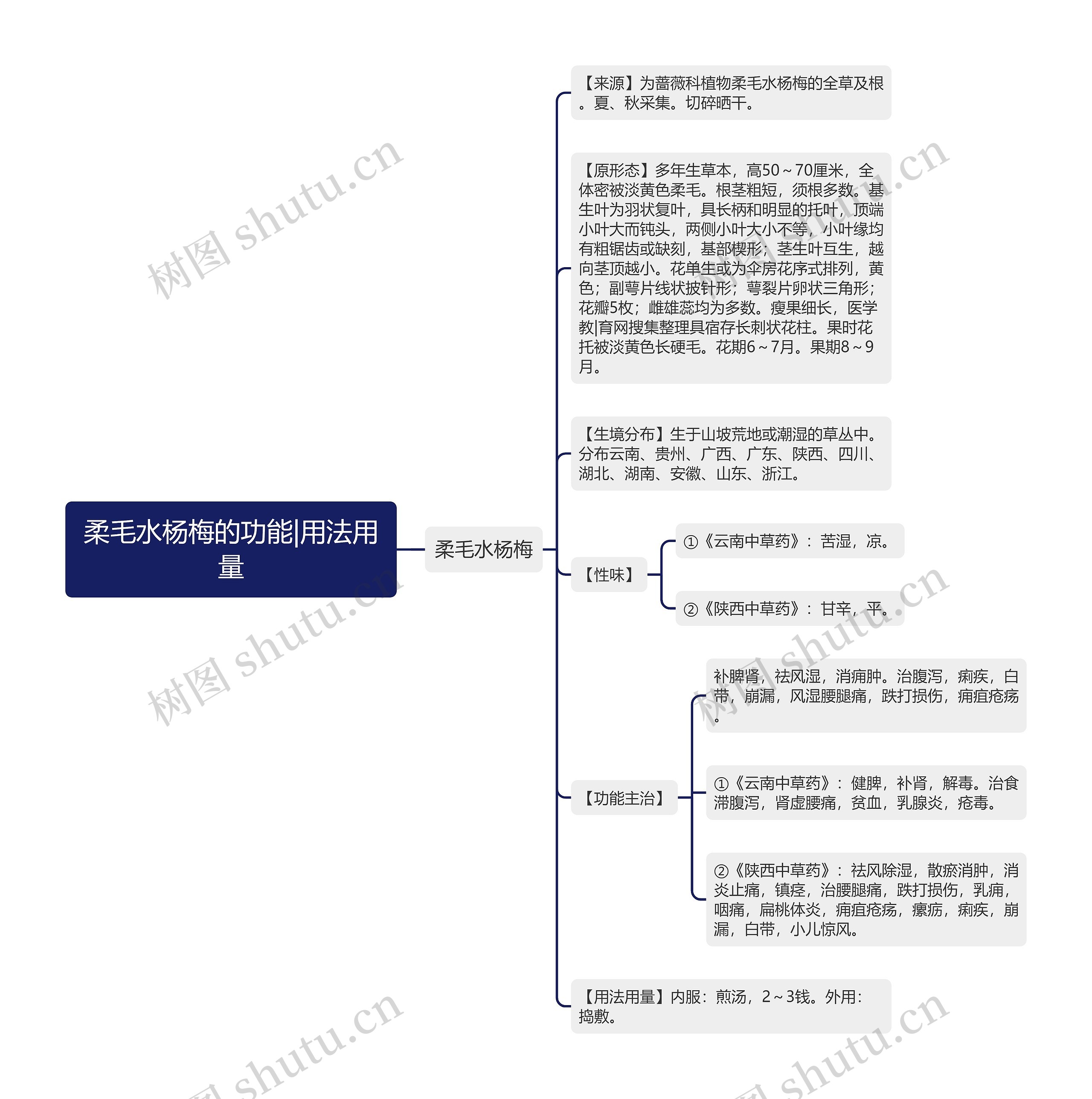 柔毛水杨梅的功能|用法用量