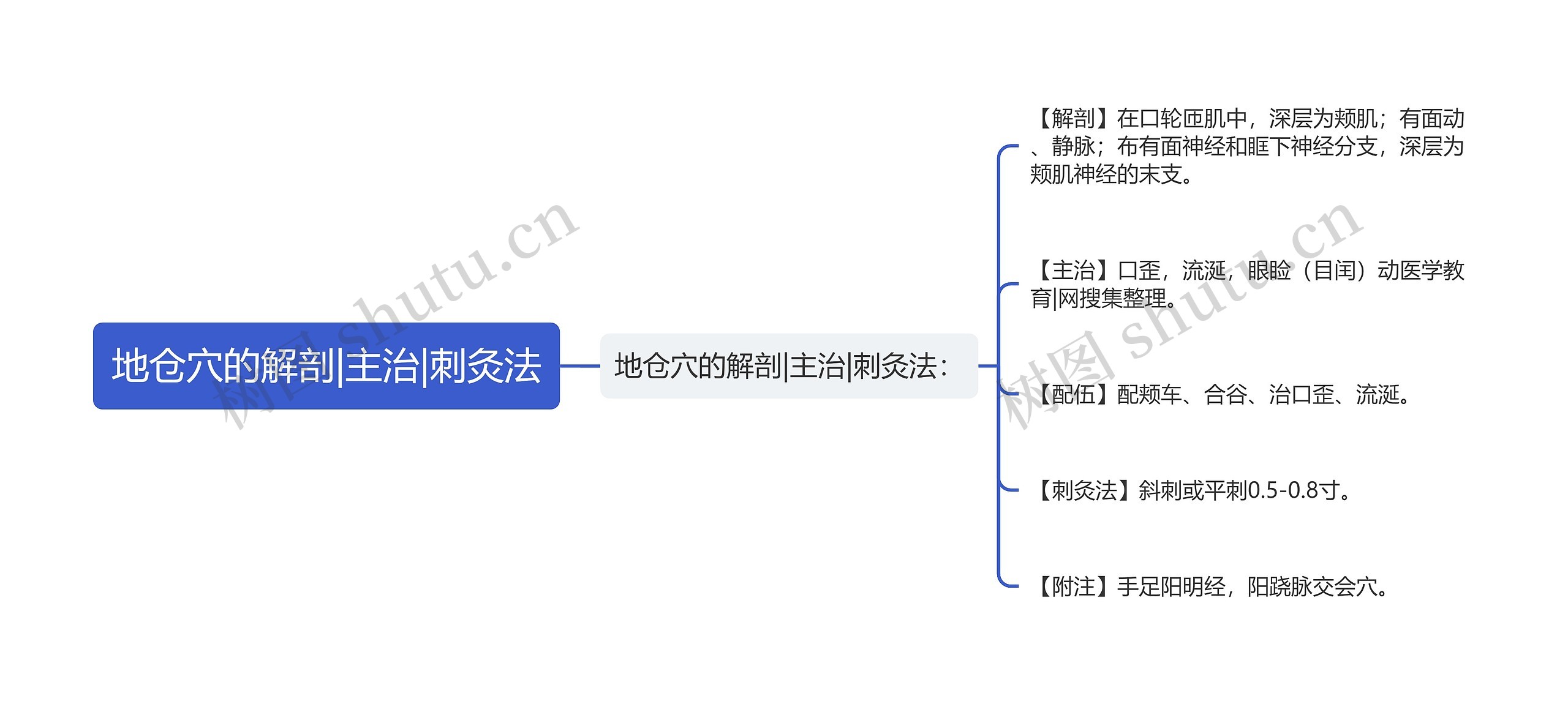 地仓穴的解剖|主治|刺灸法