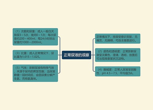 正常尿液的观察