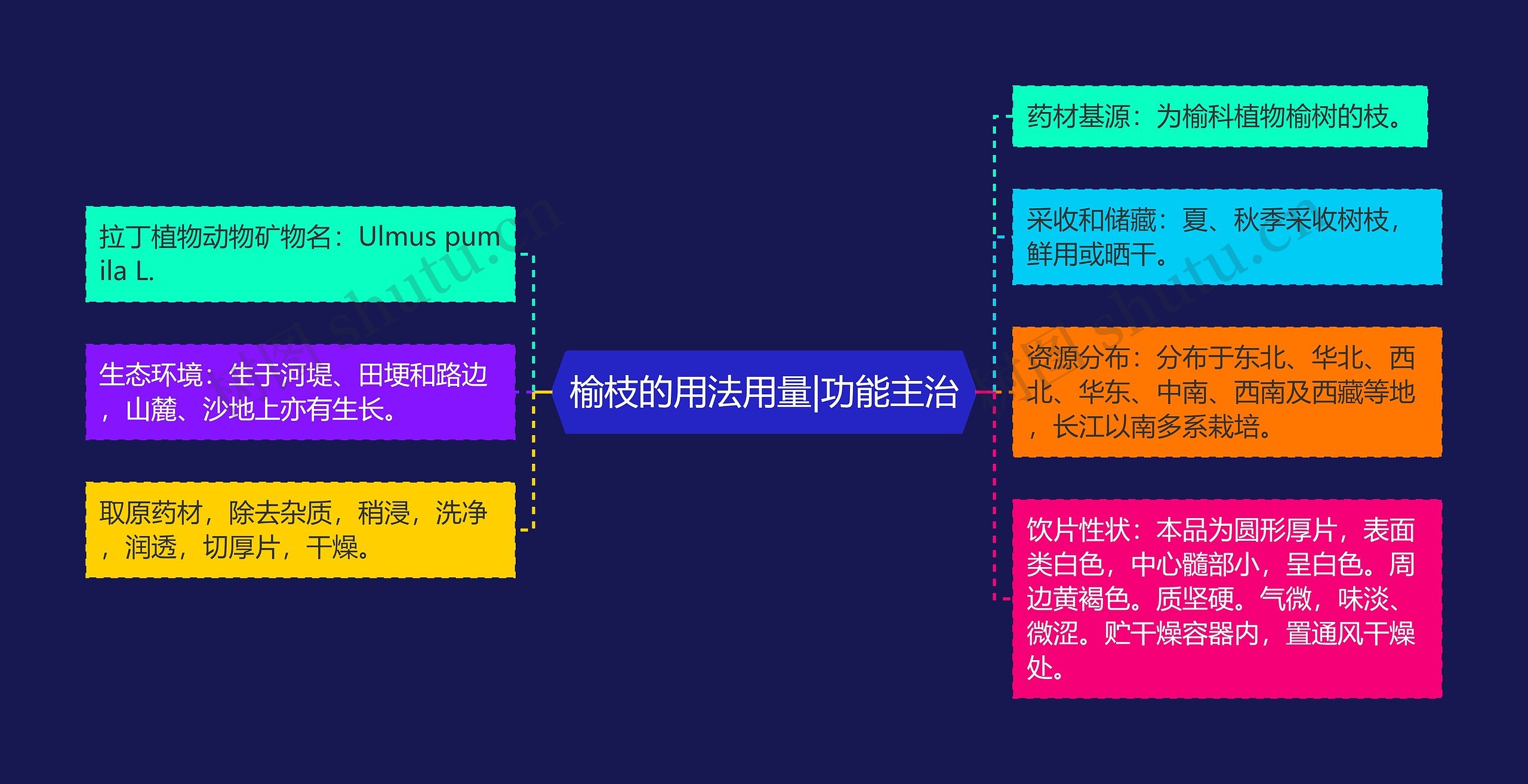 榆枝的用法用量|功能主治