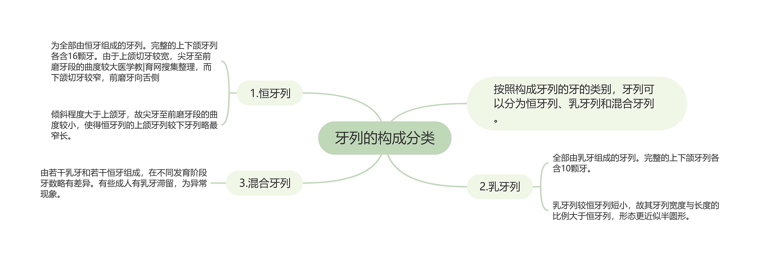 牙列的构成分类思维导图