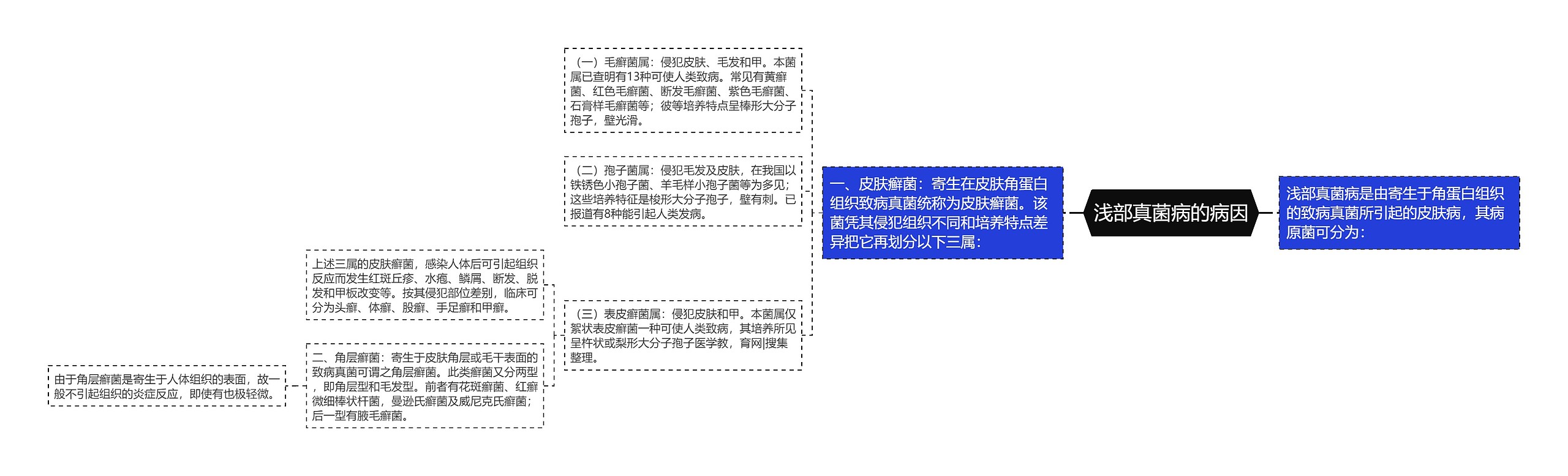 浅部真菌病的病因思维导图