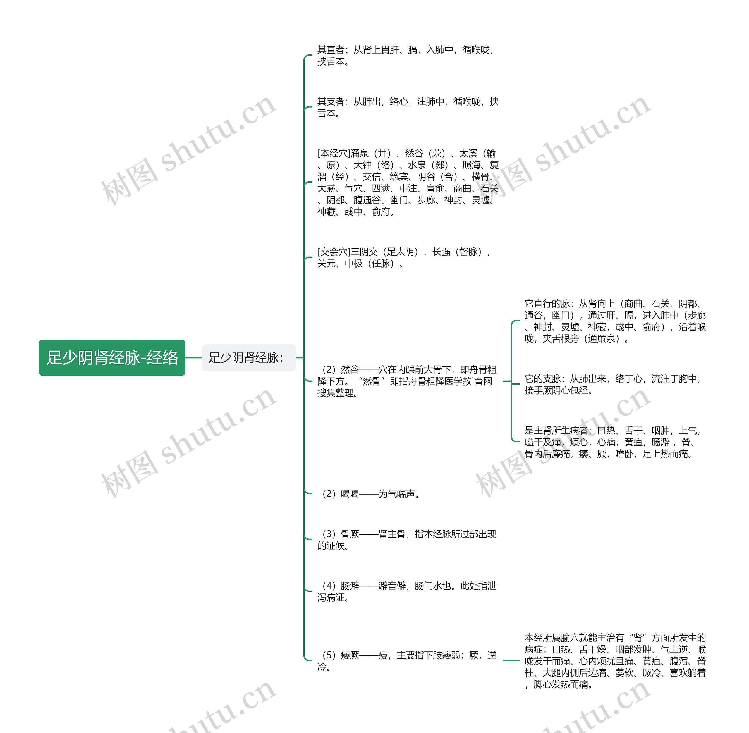 足少阴肾经脉-经络思维导图