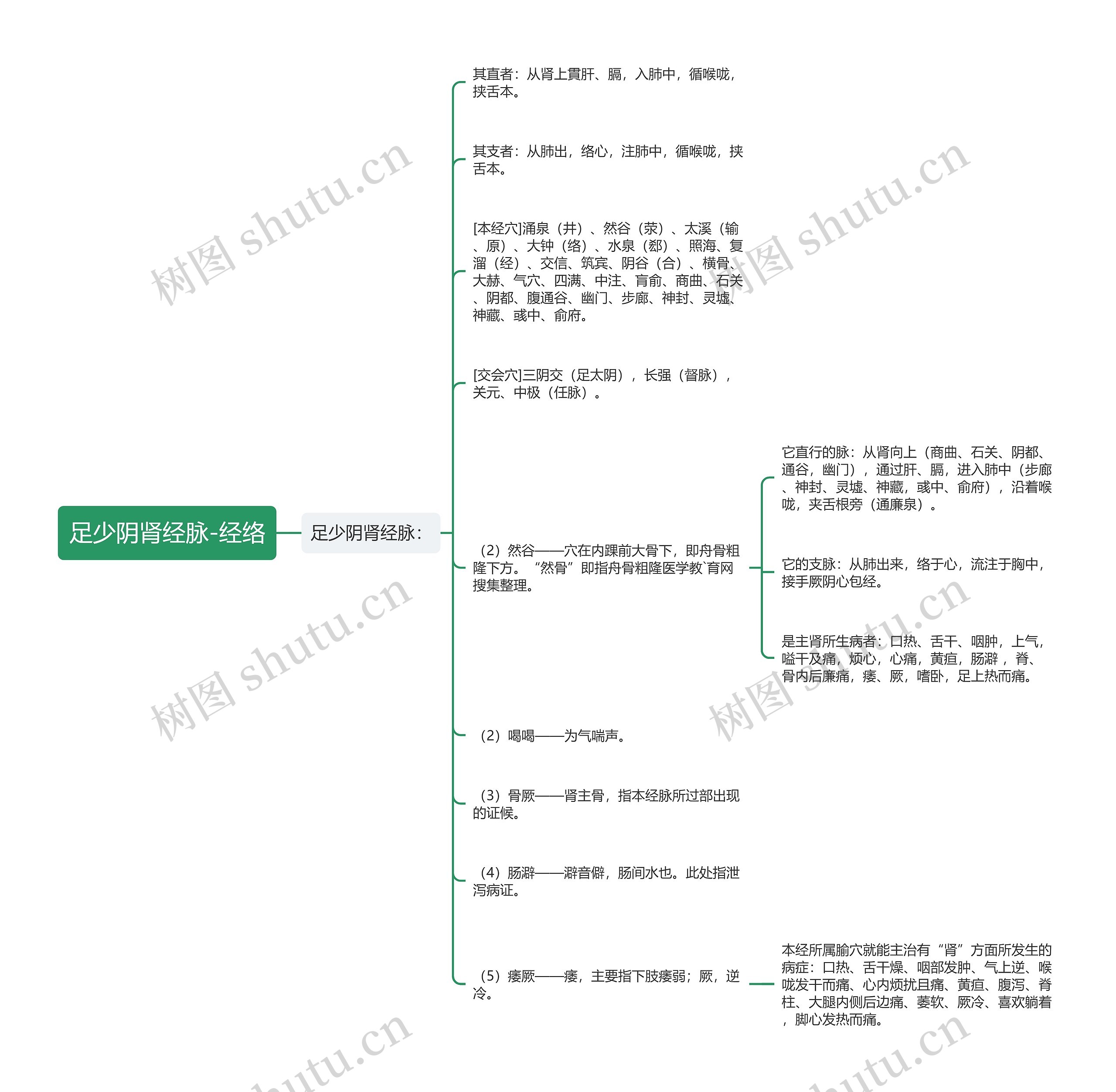 足少阴肾经脉-经络 足少阴肾经脉-经络