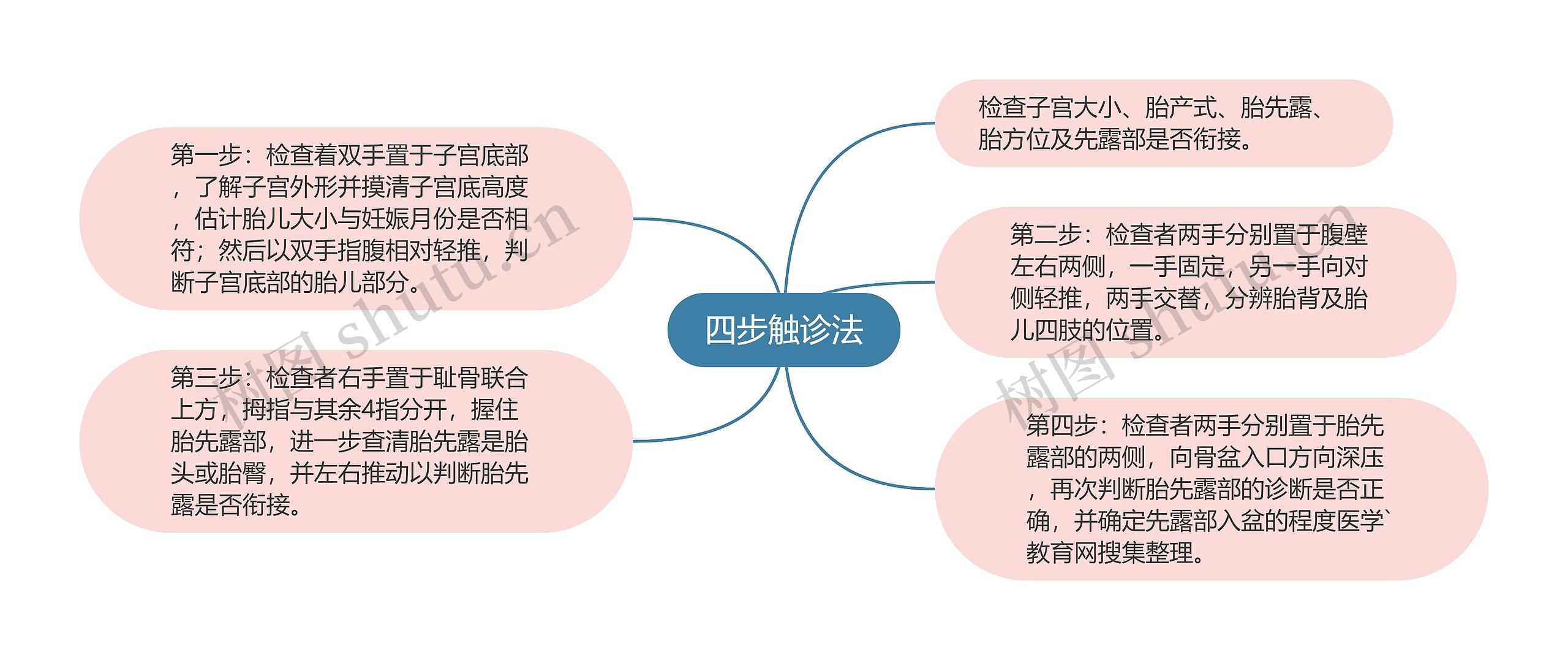 四步触诊法思维导图