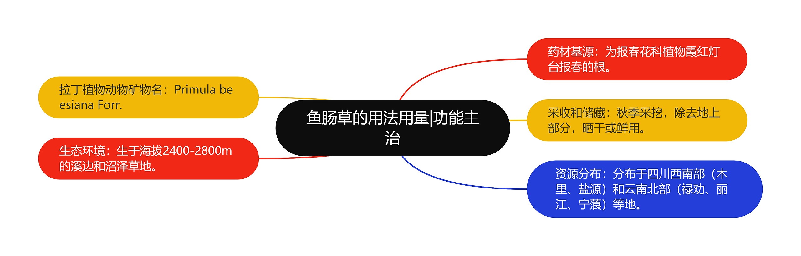 鱼肠草的用法用量|功能主治 鱼肠草的用法用量|功能主治