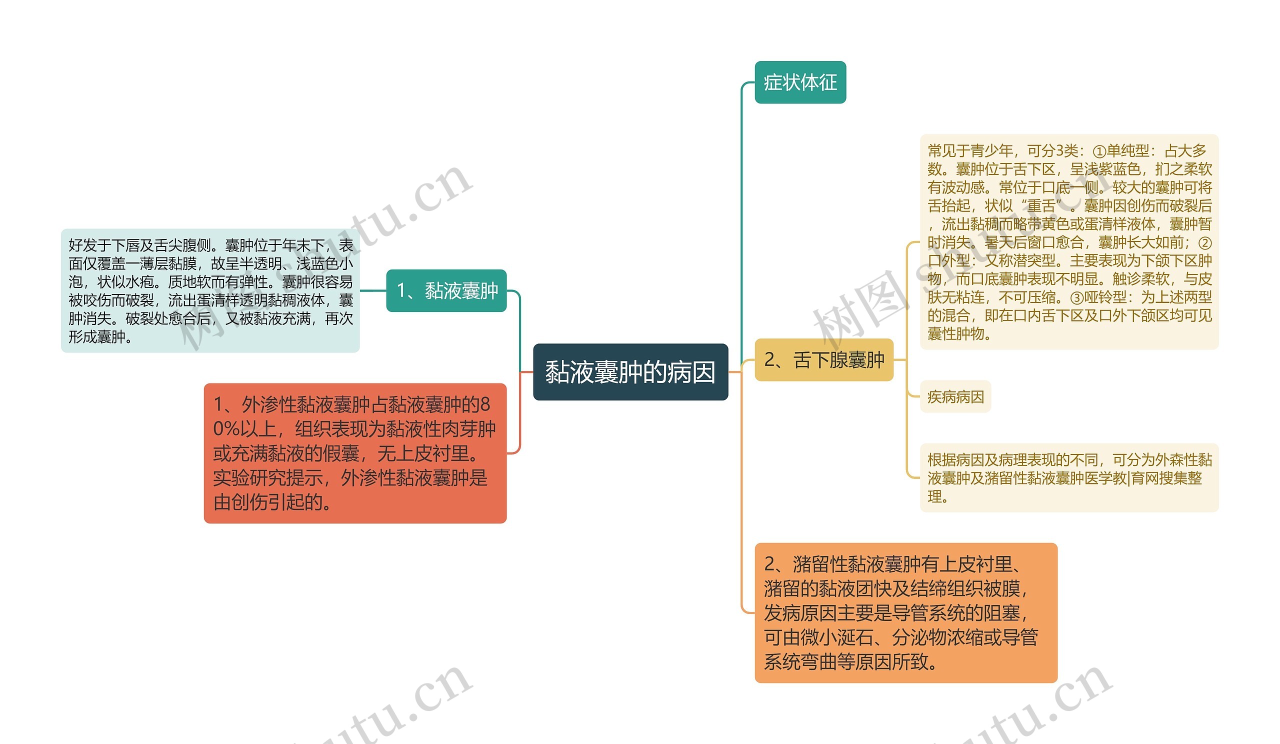 黏液囊肿的病因思维导图