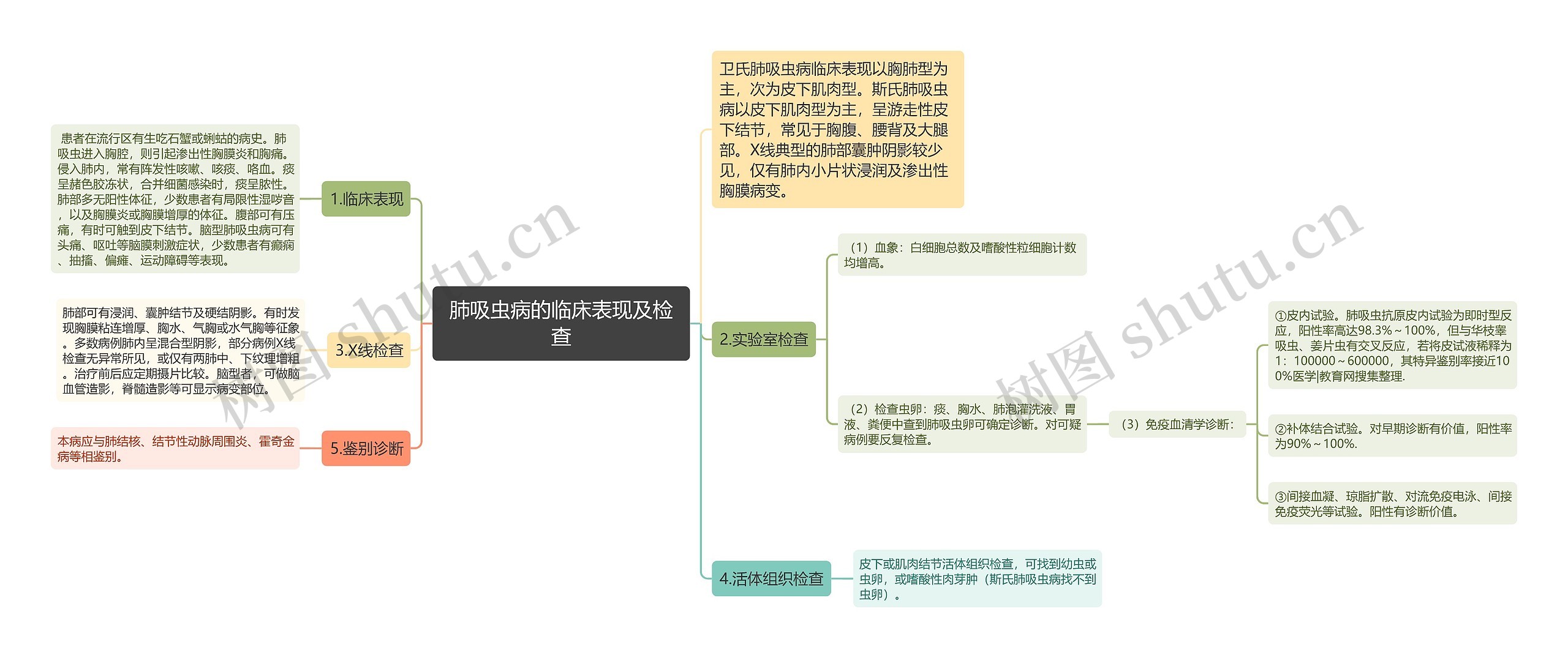 肺吸虫病的临床表现及检查