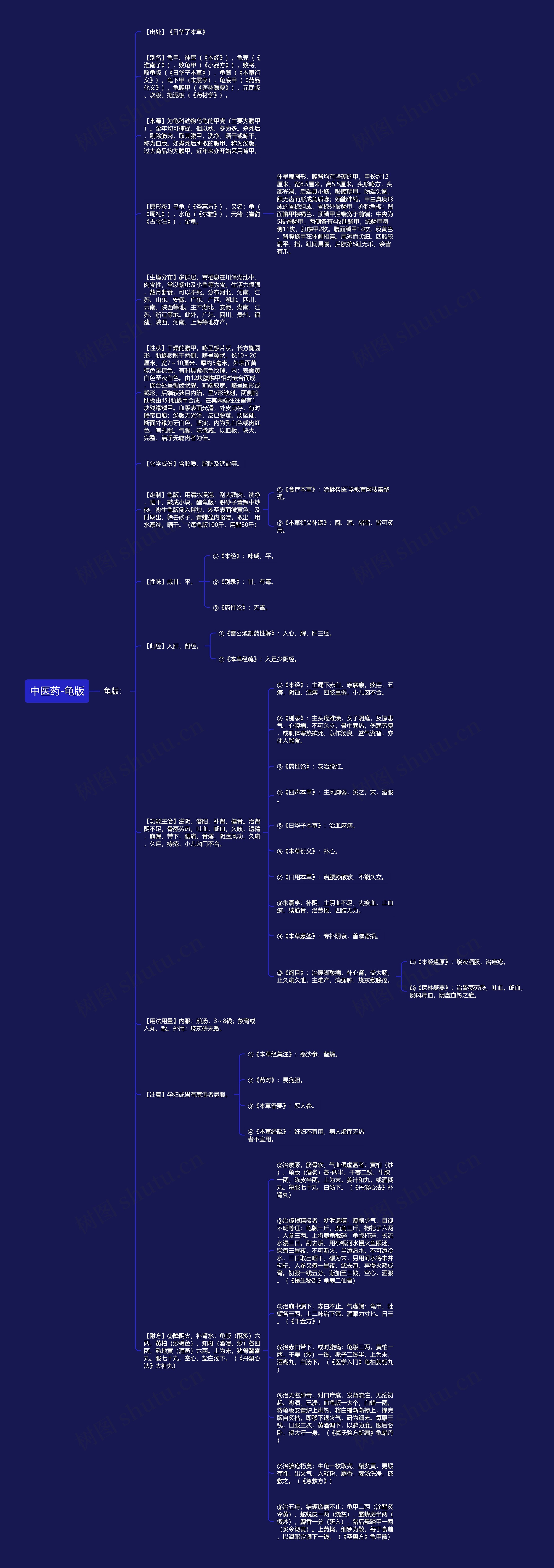 中医药-龟版思维导图