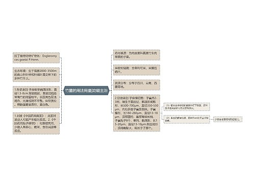 竹菌的用法用量|功能主治