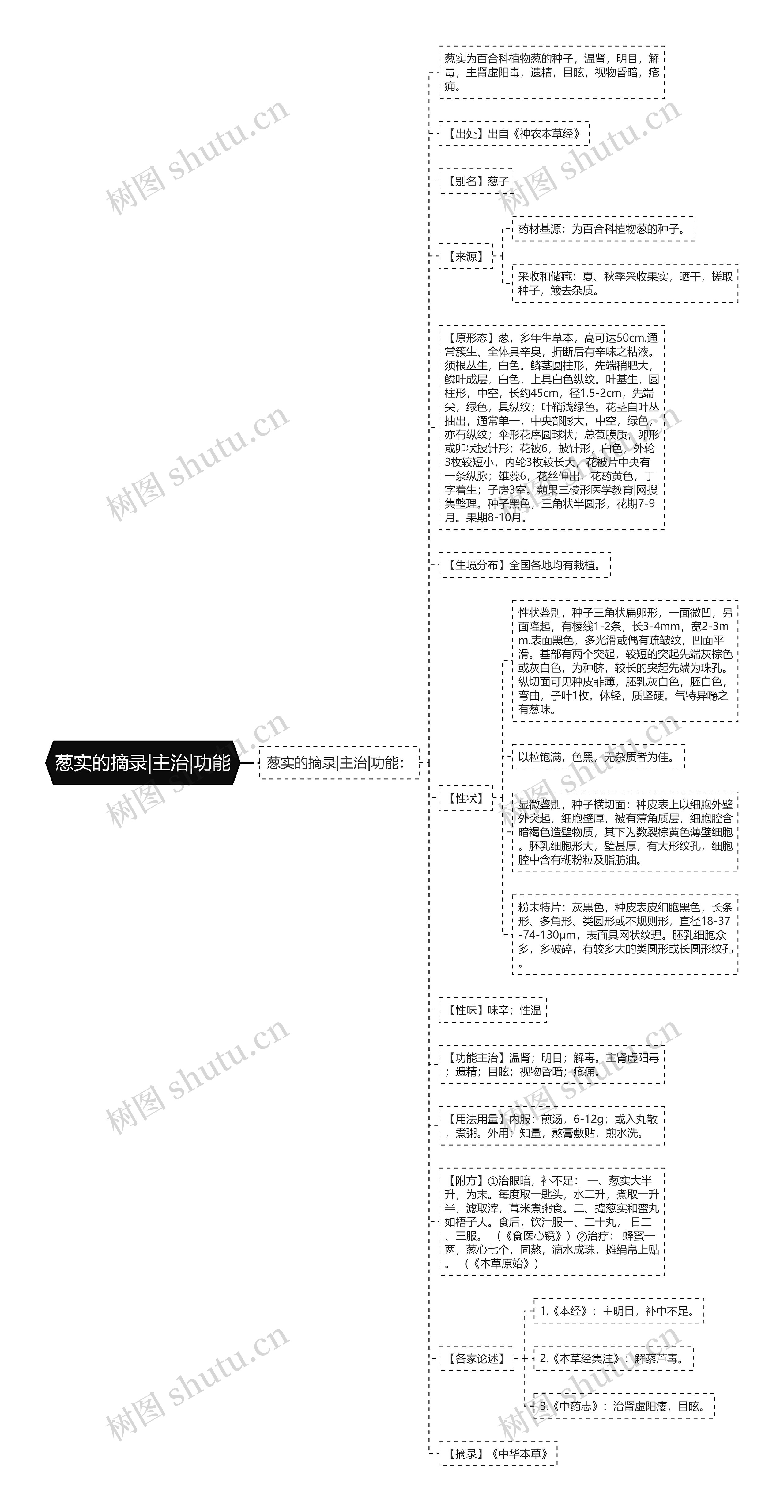 葱实的摘录|主治|功能