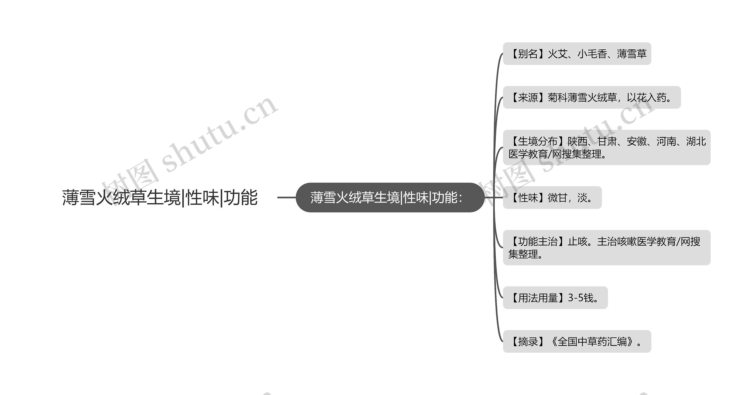 薄雪火绒草生境|性味|功能思维导图