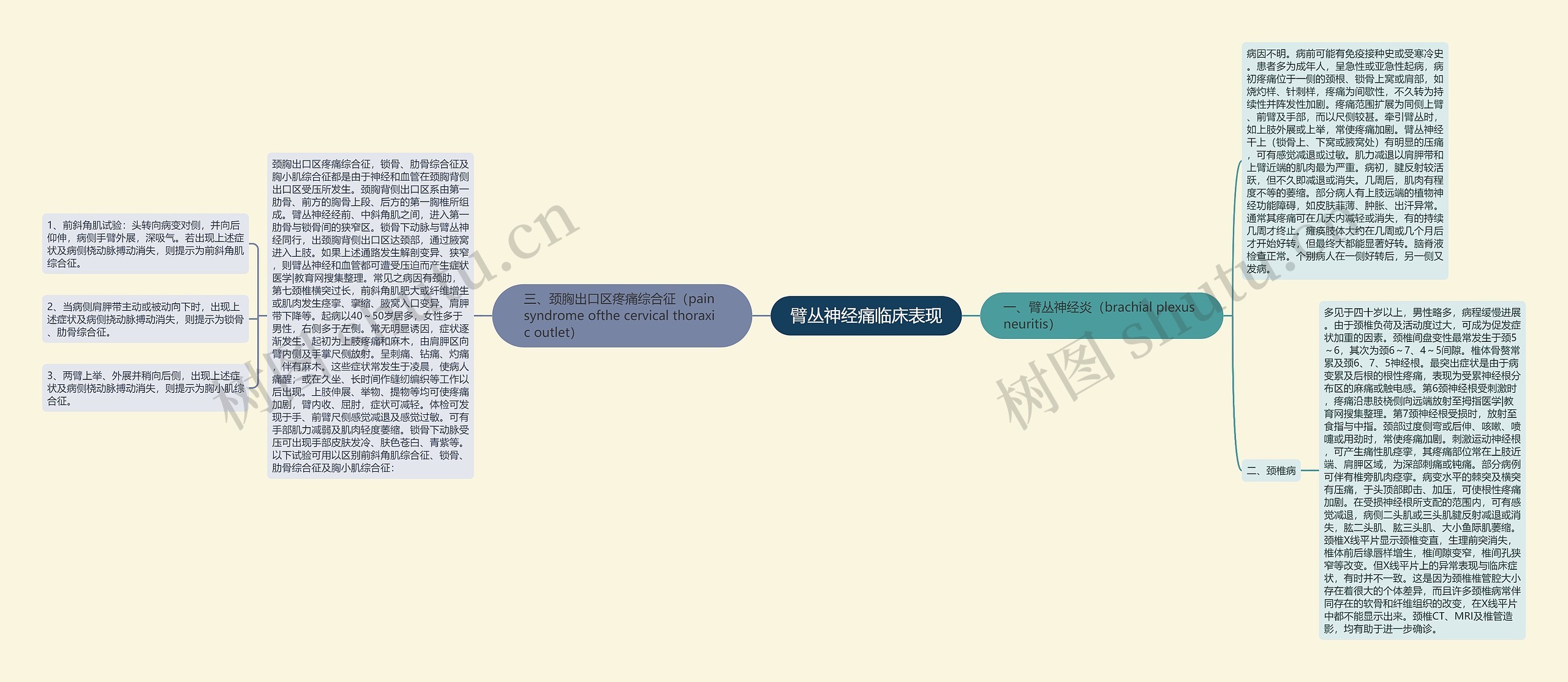 臂丛神经痛临床表现思维导图