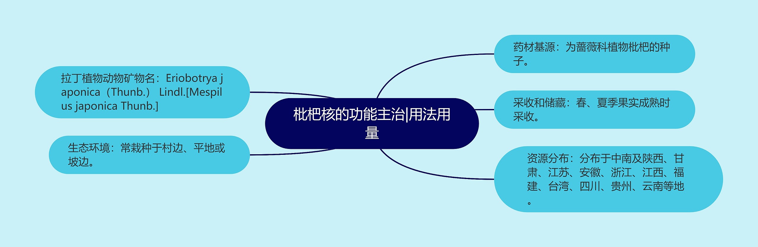 枇杷核的功能主治|用法用量 枇杷核的功能主治|用法用量