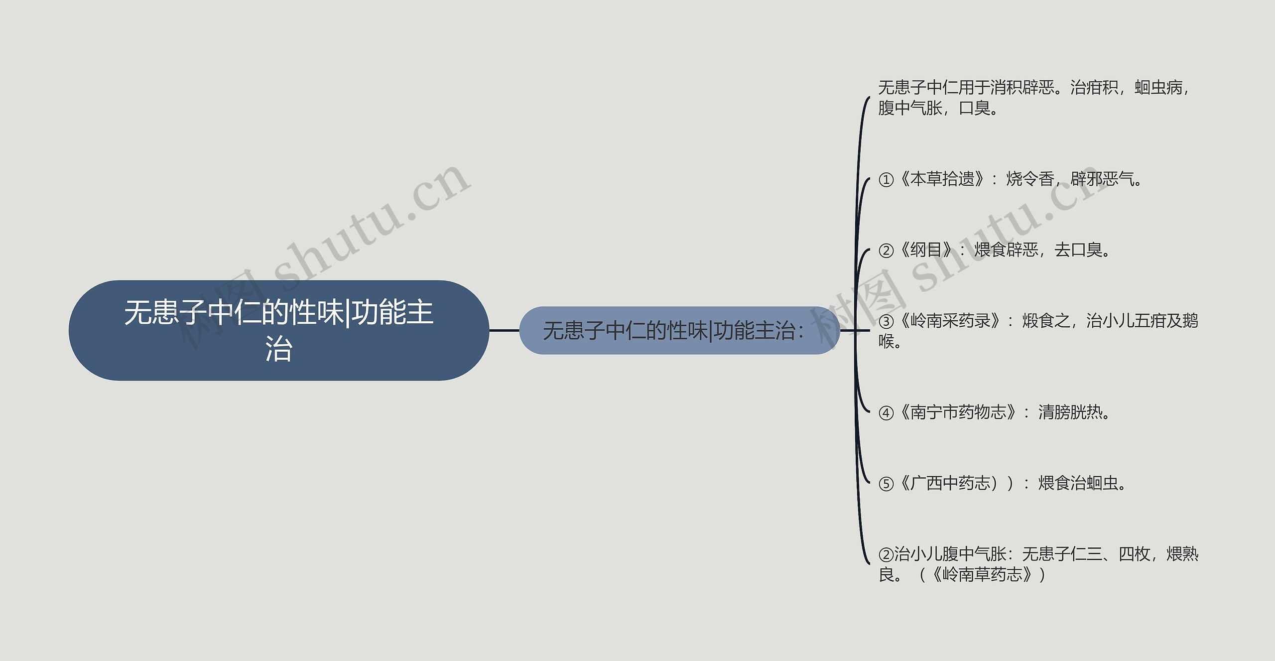 无患子中仁的性味|功能主治思维导图