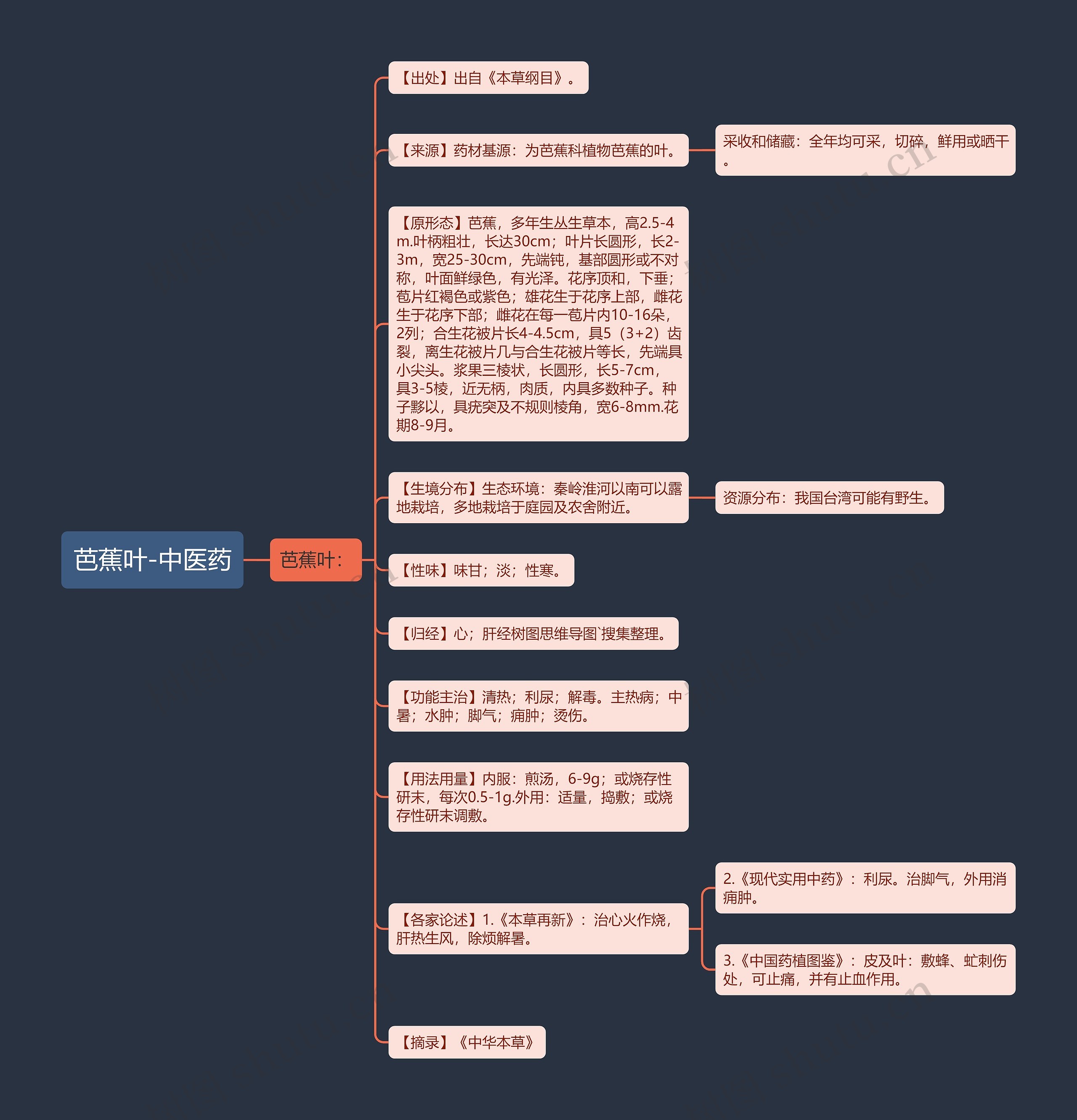 芭蕉叶-中医药 芭蕉叶-中医药