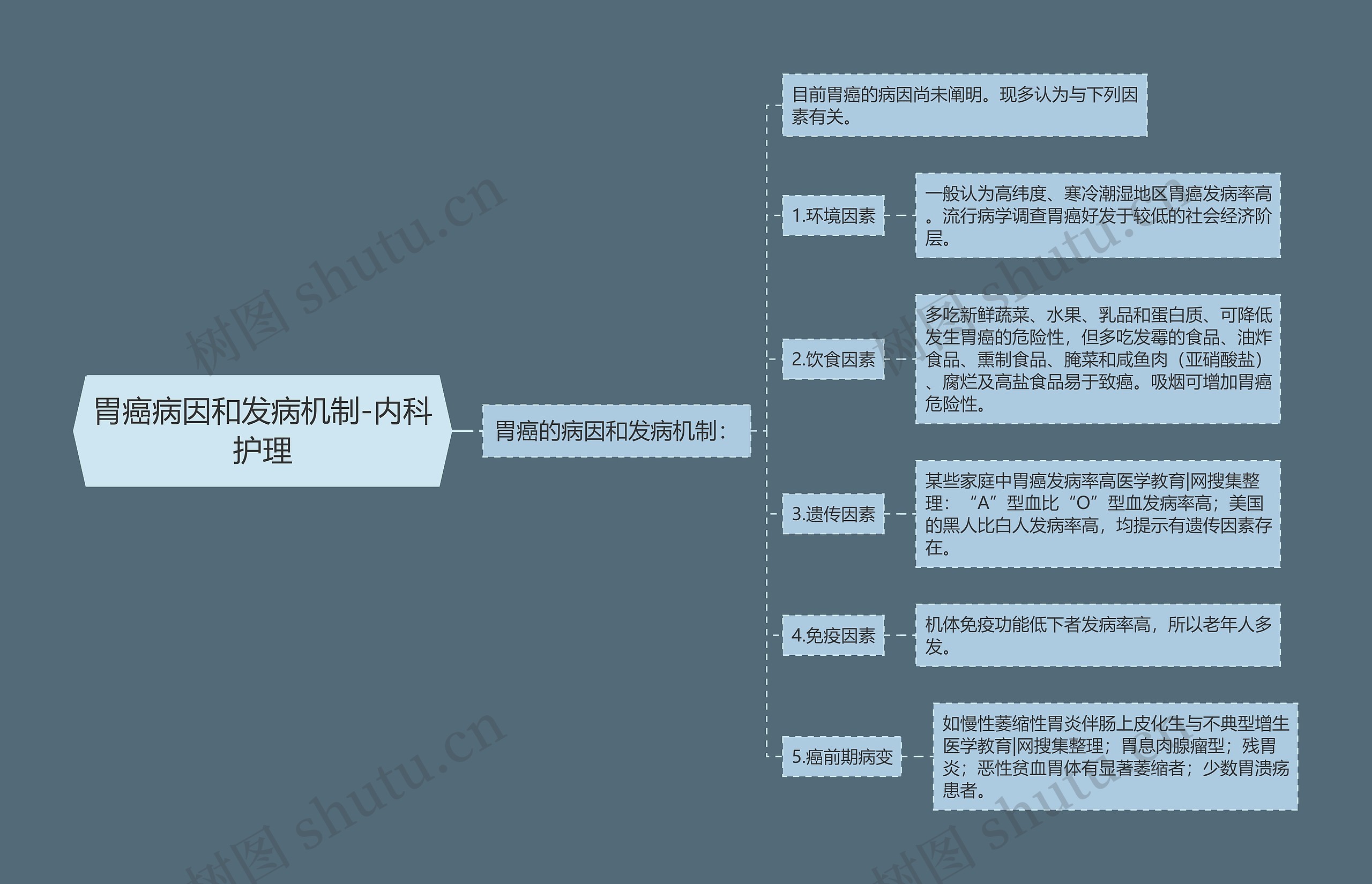 胃癌病因和发病机制-内科护理思维导图