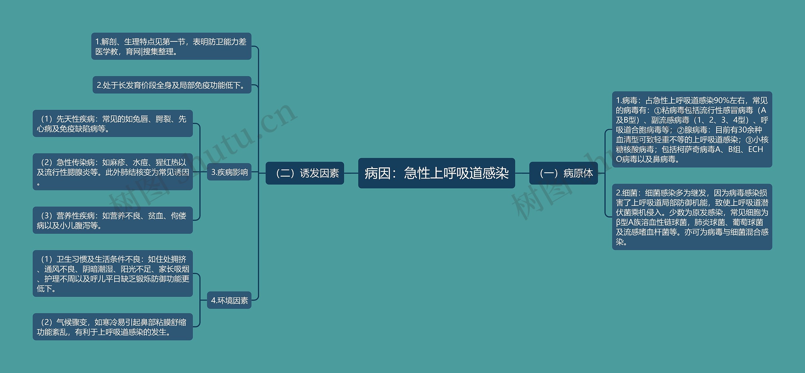 病因：急性上呼吸道感染思维导图