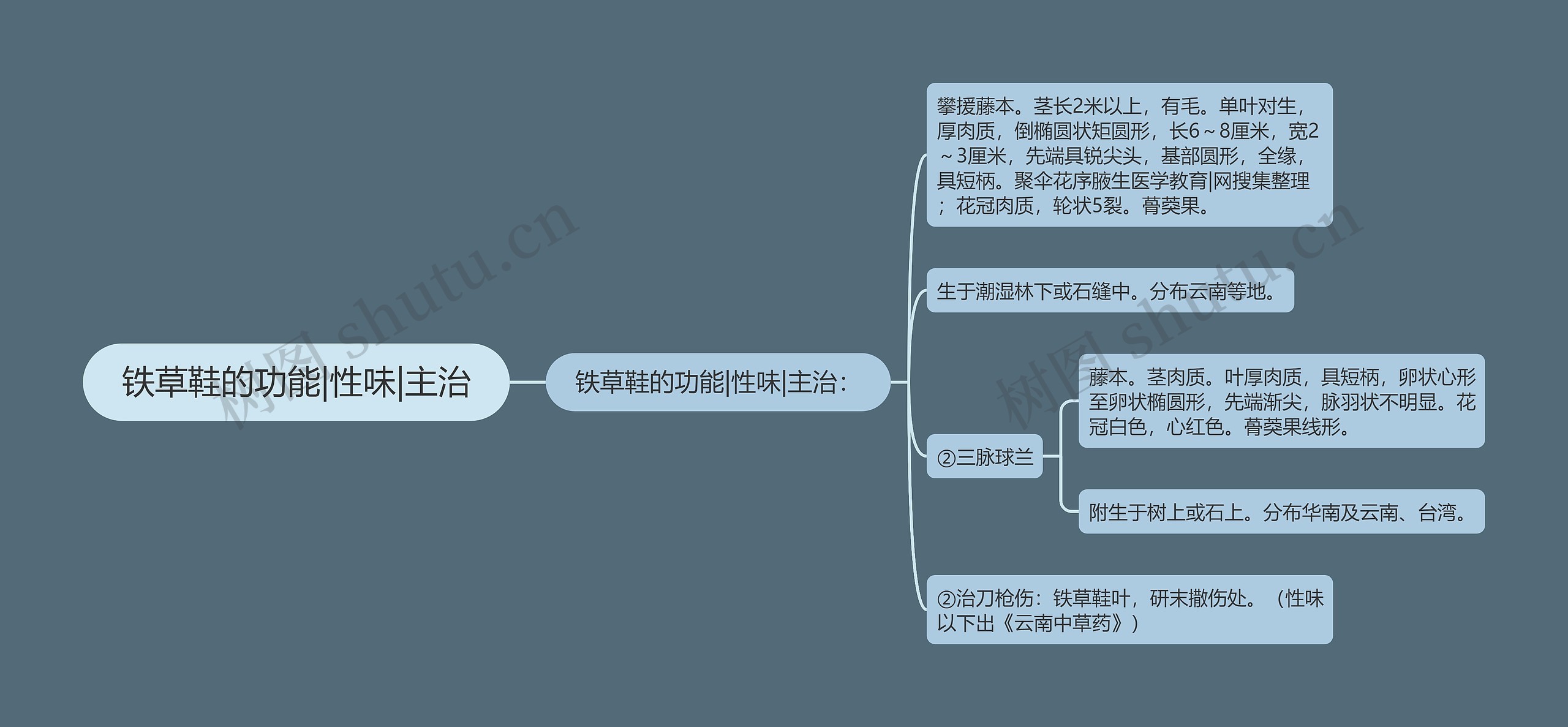 铁草鞋的功能|性味|主治思维导图