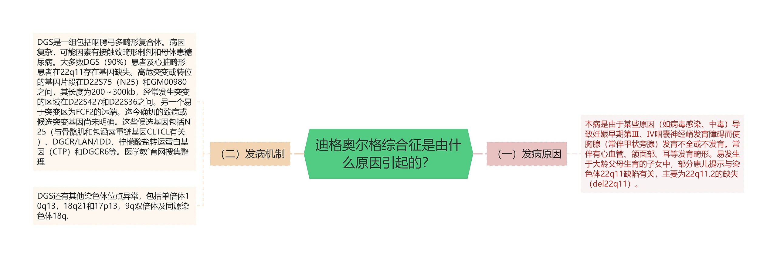 迪格奥尔格综合征是由什么原因引起的？思维导图