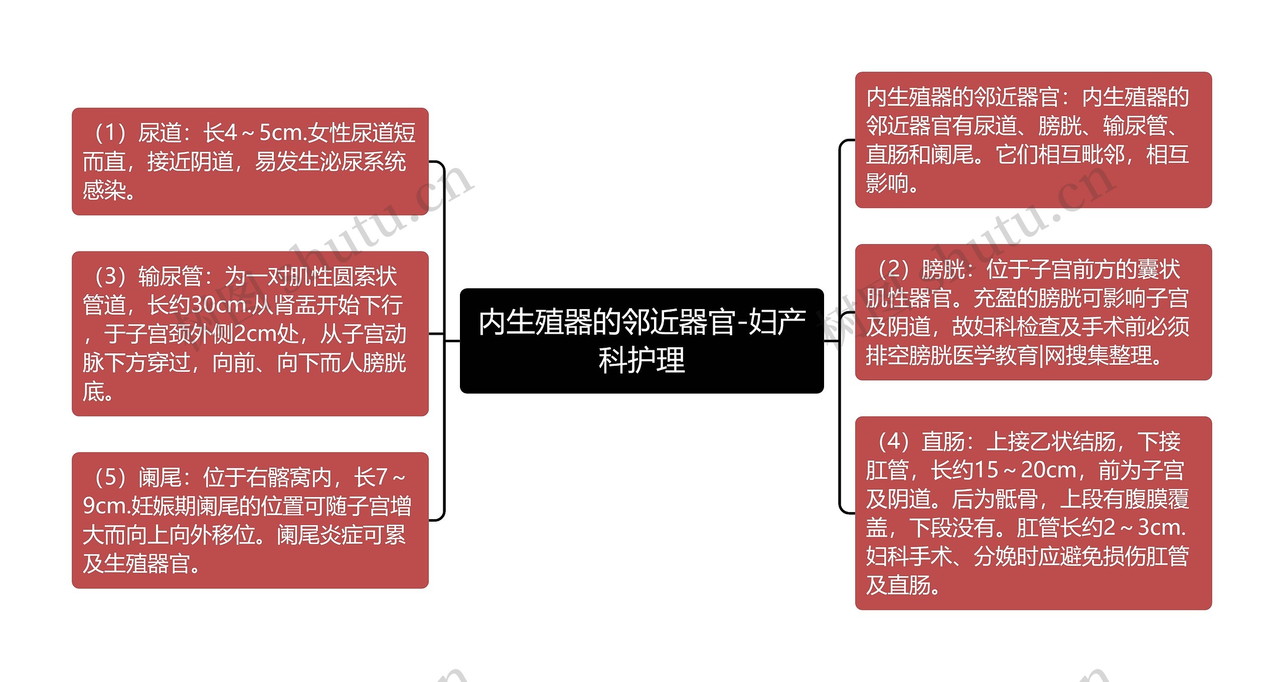 内生殖器的邻近器官-妇产科护理思维导图