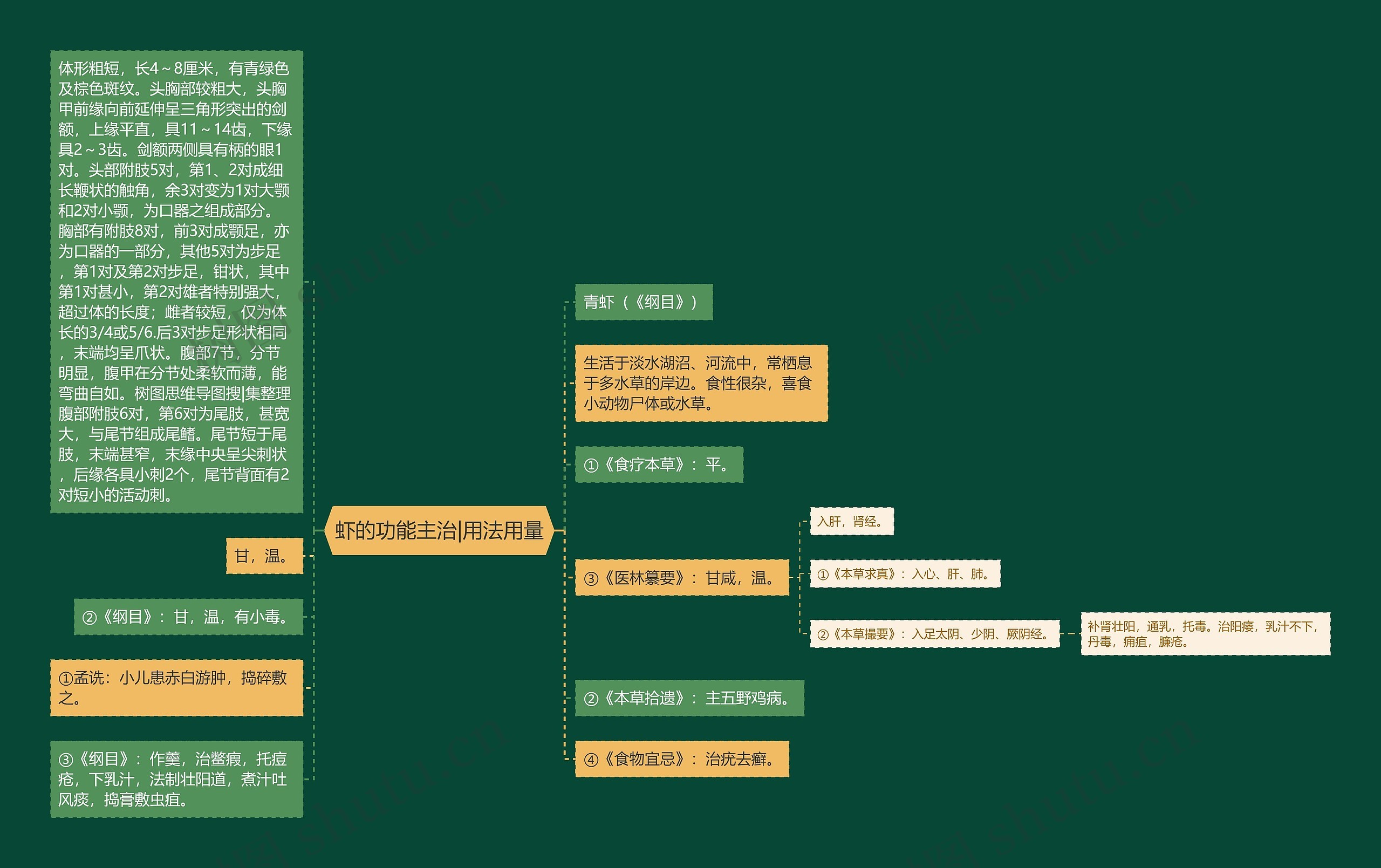虾的功能主治|用法用量 虾的功能主治|用法用量