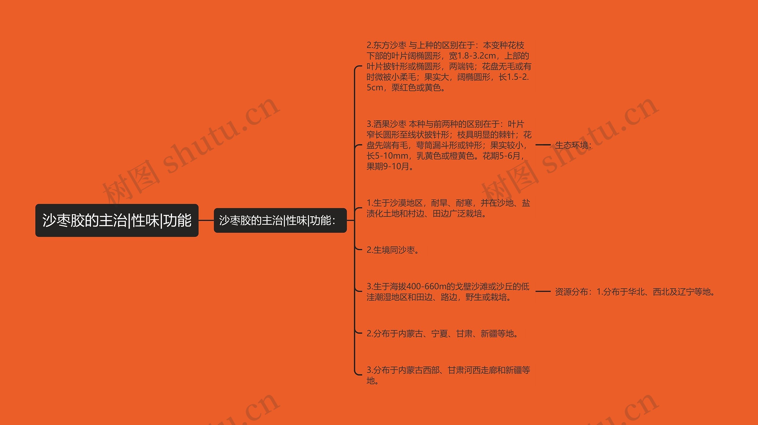 沙枣胶的主治|性味|功能思维导图