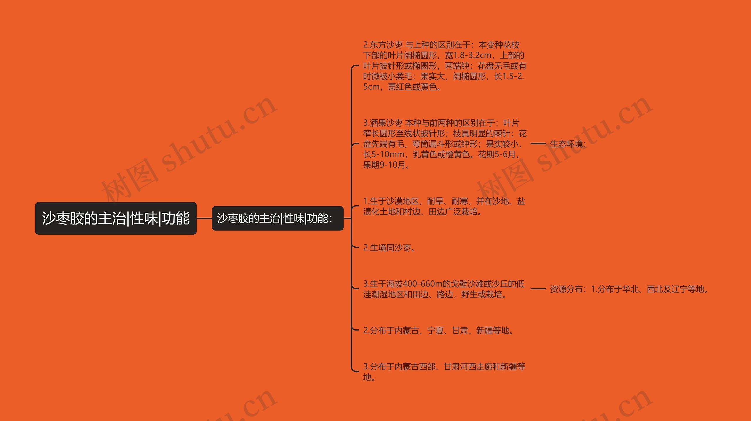 沙枣胶的主治|性味|功能 沙枣胶的主治|性味|功能