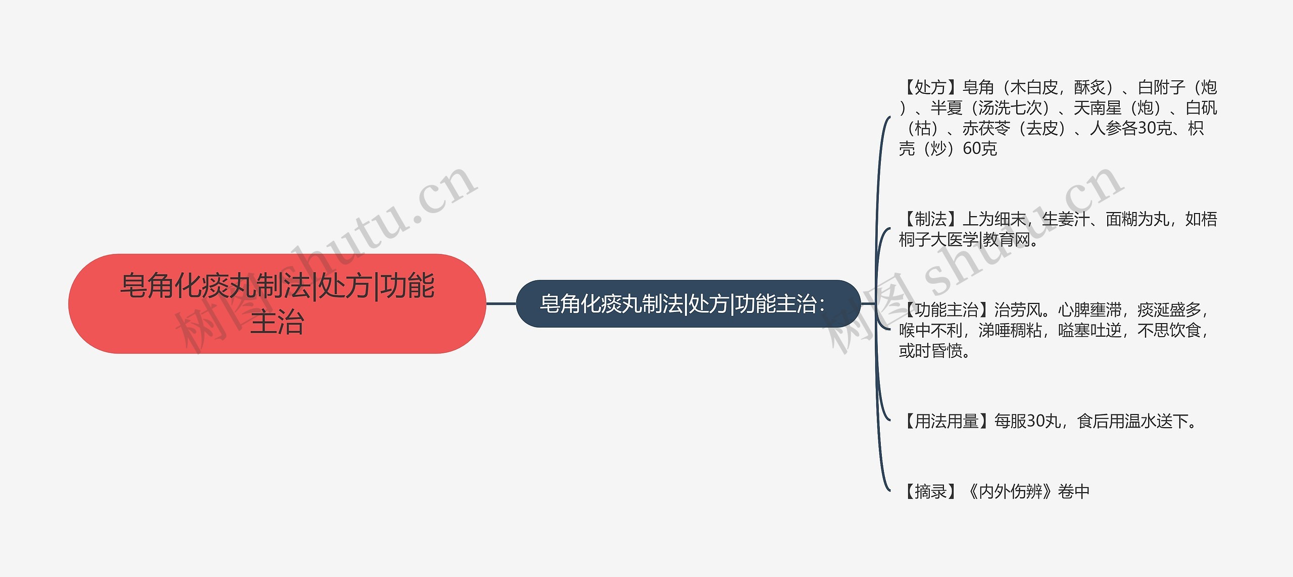 皂角化痰丸制法|处方|功能主治思维导图