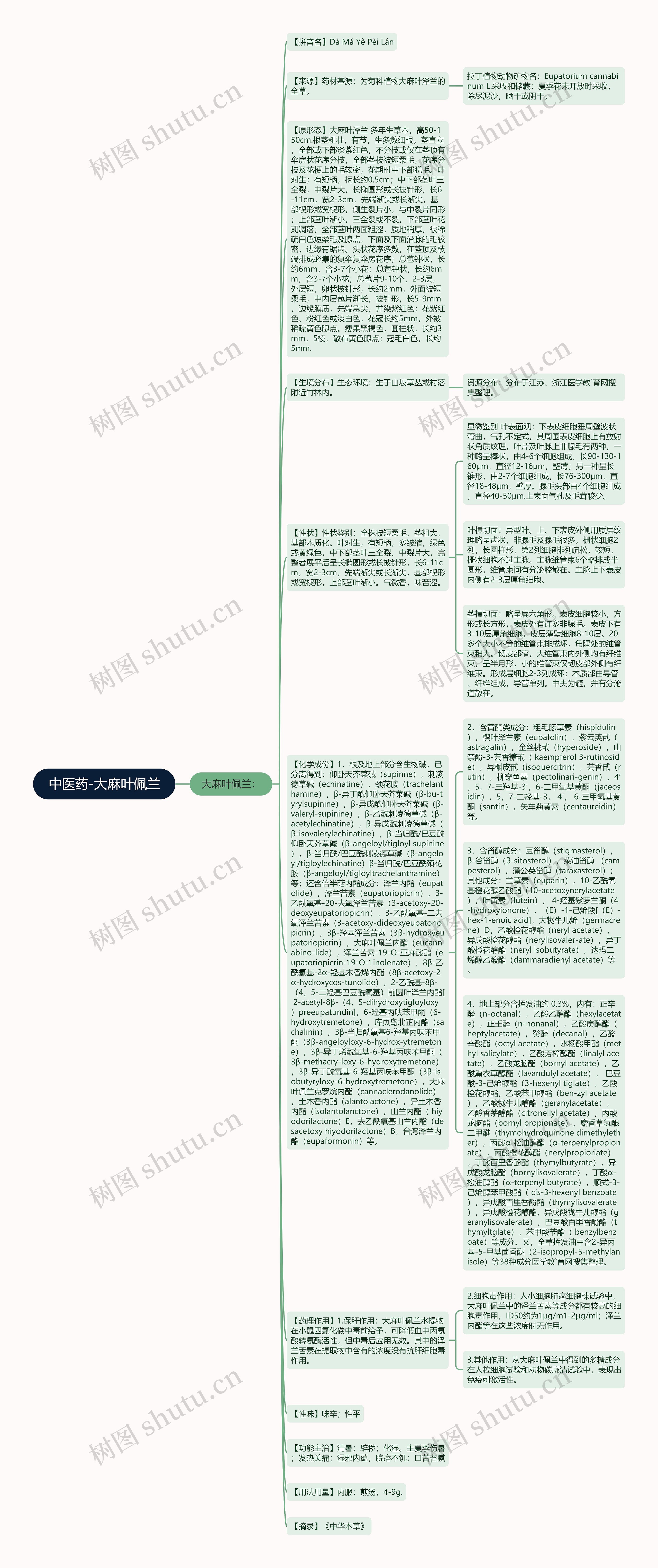 中医药-大麻叶佩兰思维导图