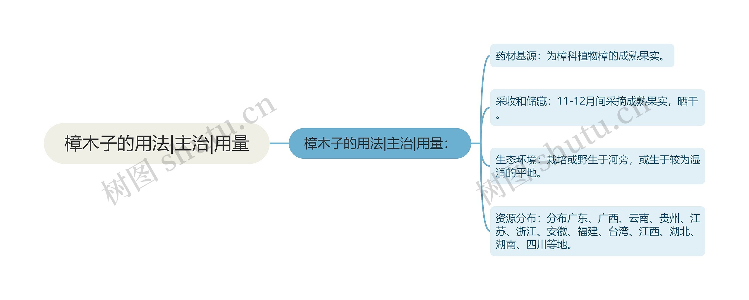 樟木子的用法|主治|用量