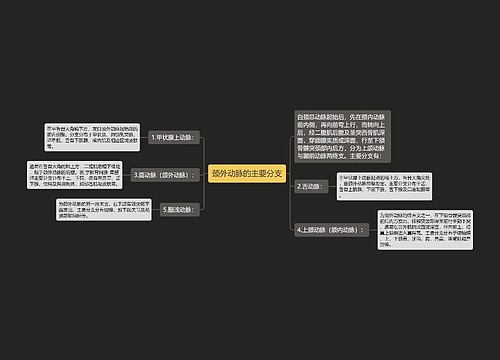 颈外动脉的主要分支