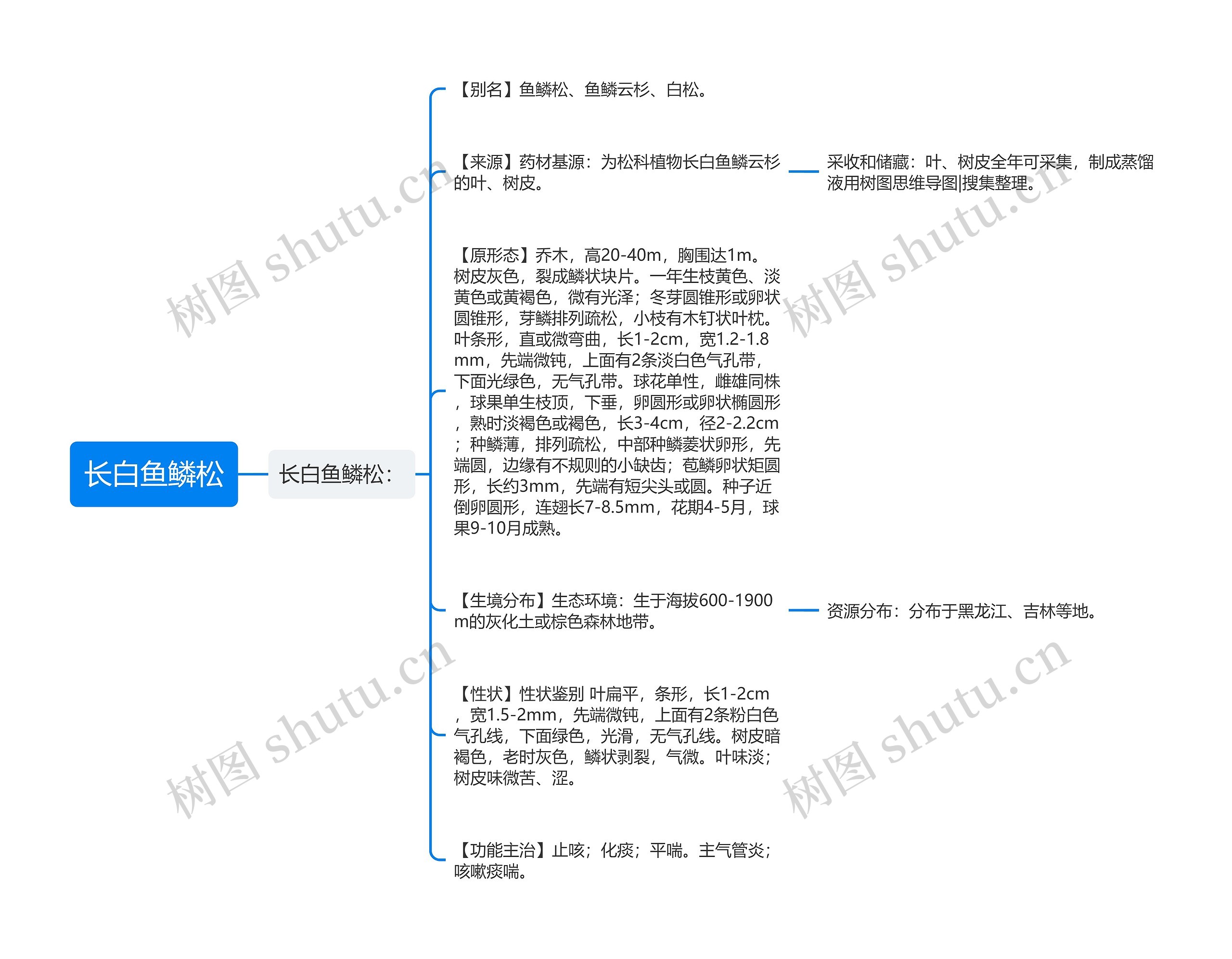 长白鱼鳞松思维导图