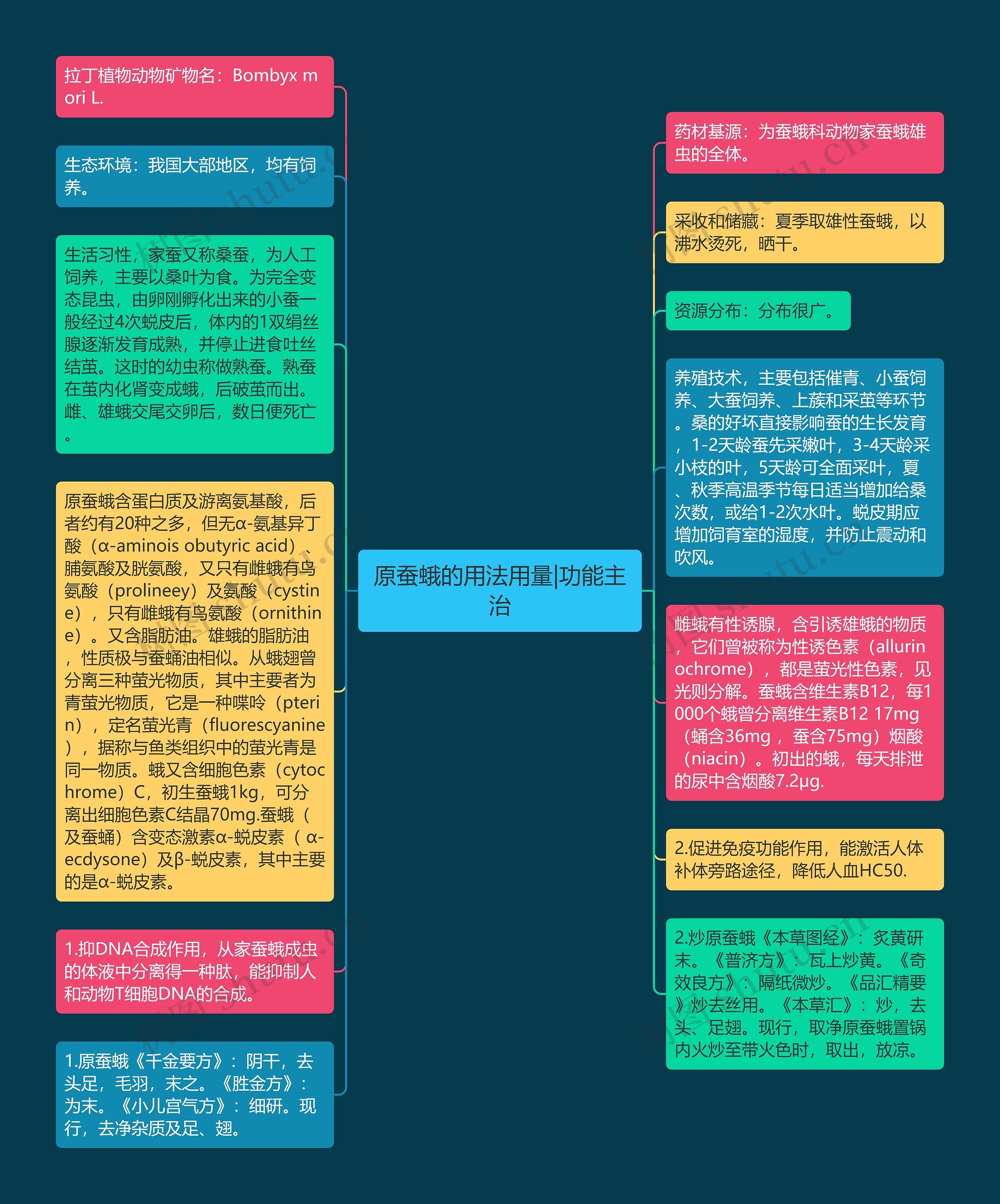 原蚕蛾的用法用量|功能主治思维导图高清图 原蚕蛾的用法用量|功能主治思维导图