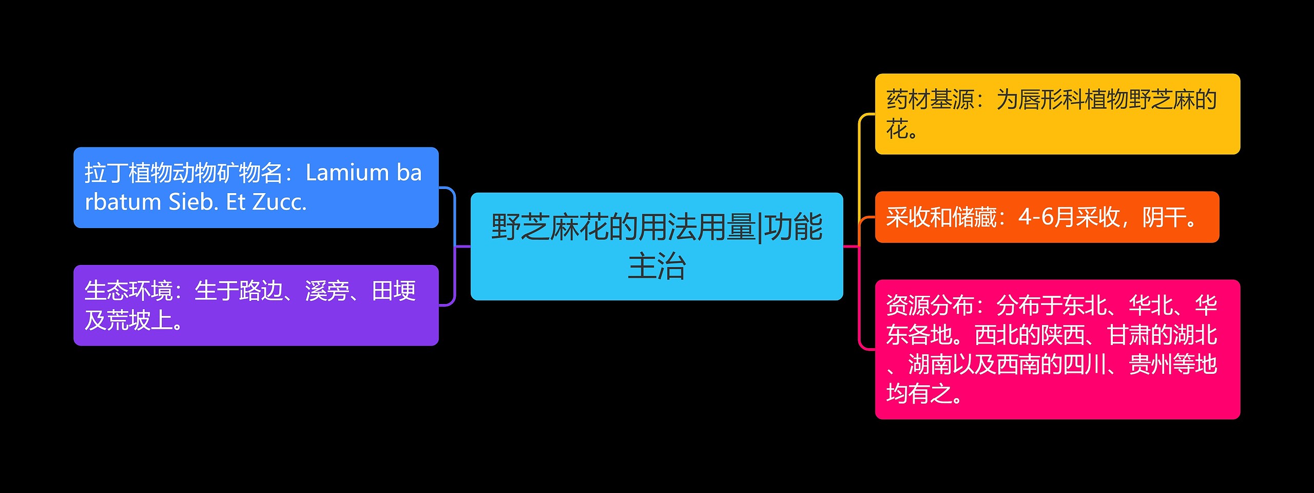 野芝麻花的用法用量|功能主治思维导图