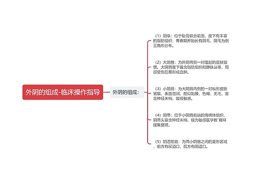 外阴的组成-临床操作指导