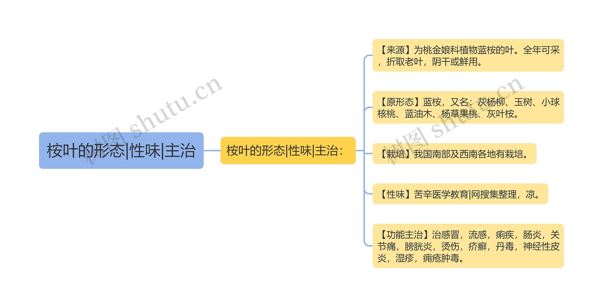 桉叶的形态|性味|主治思维导图