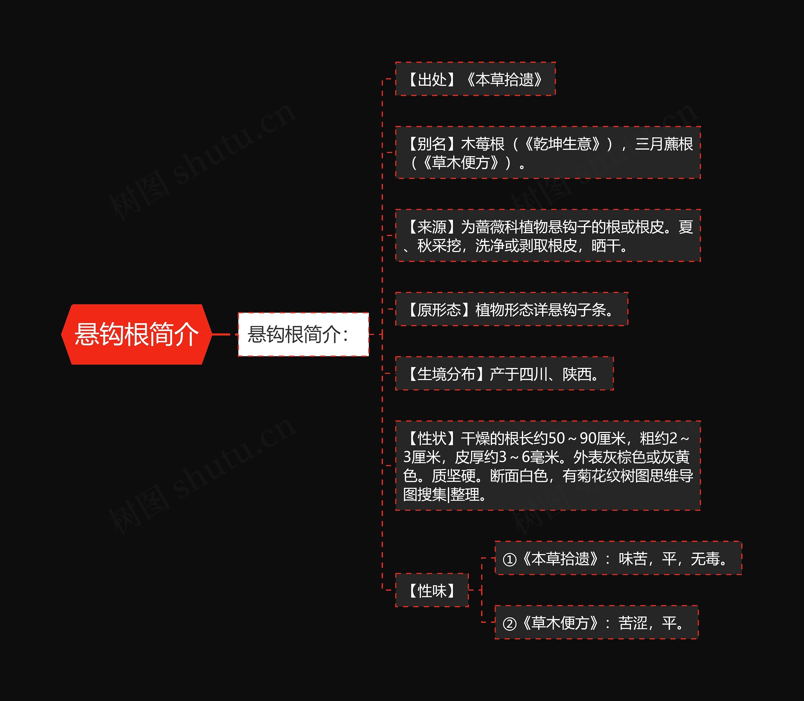 悬钩根简介思维导图