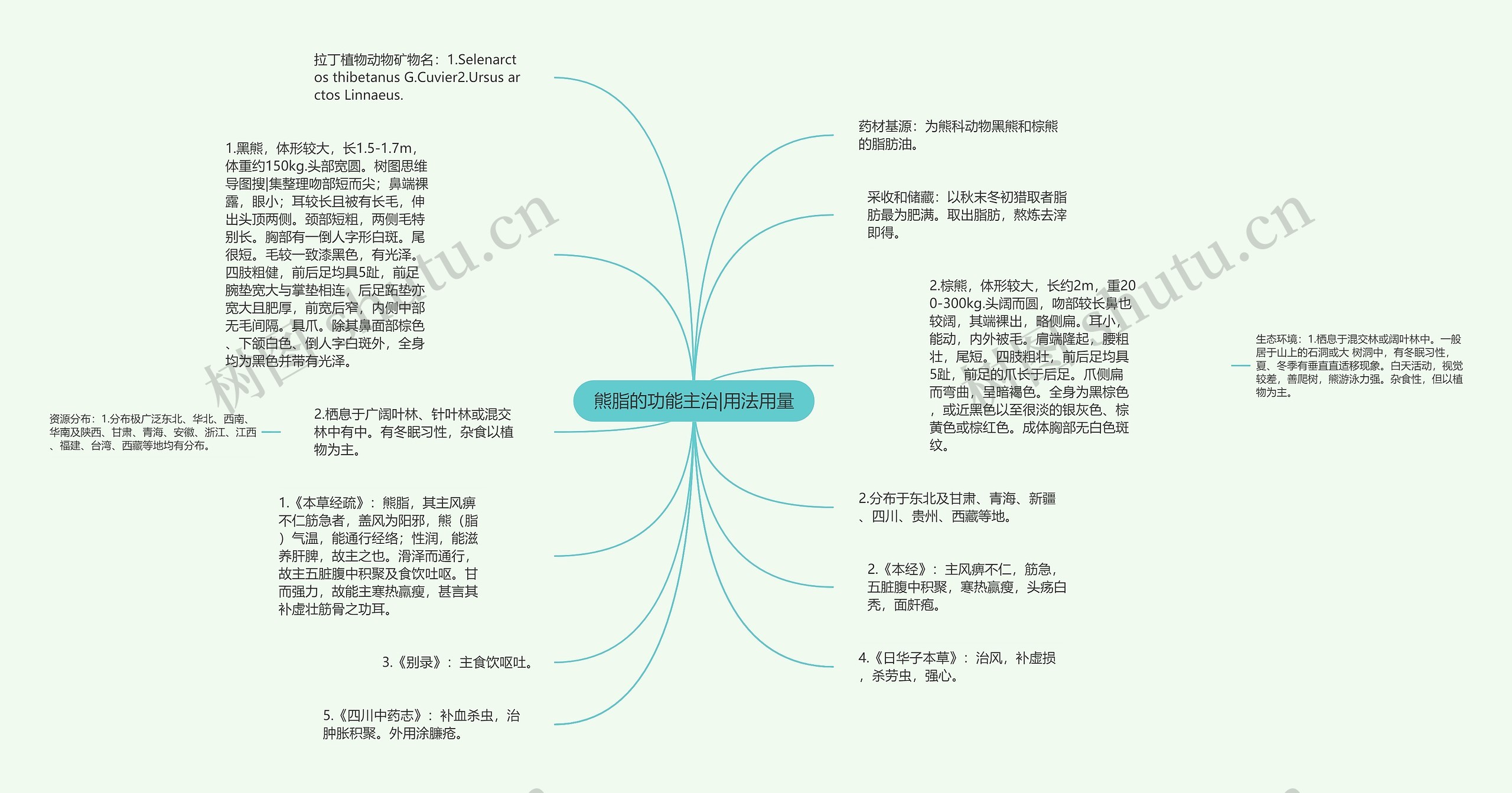 熊脂的功能主治|用法用量