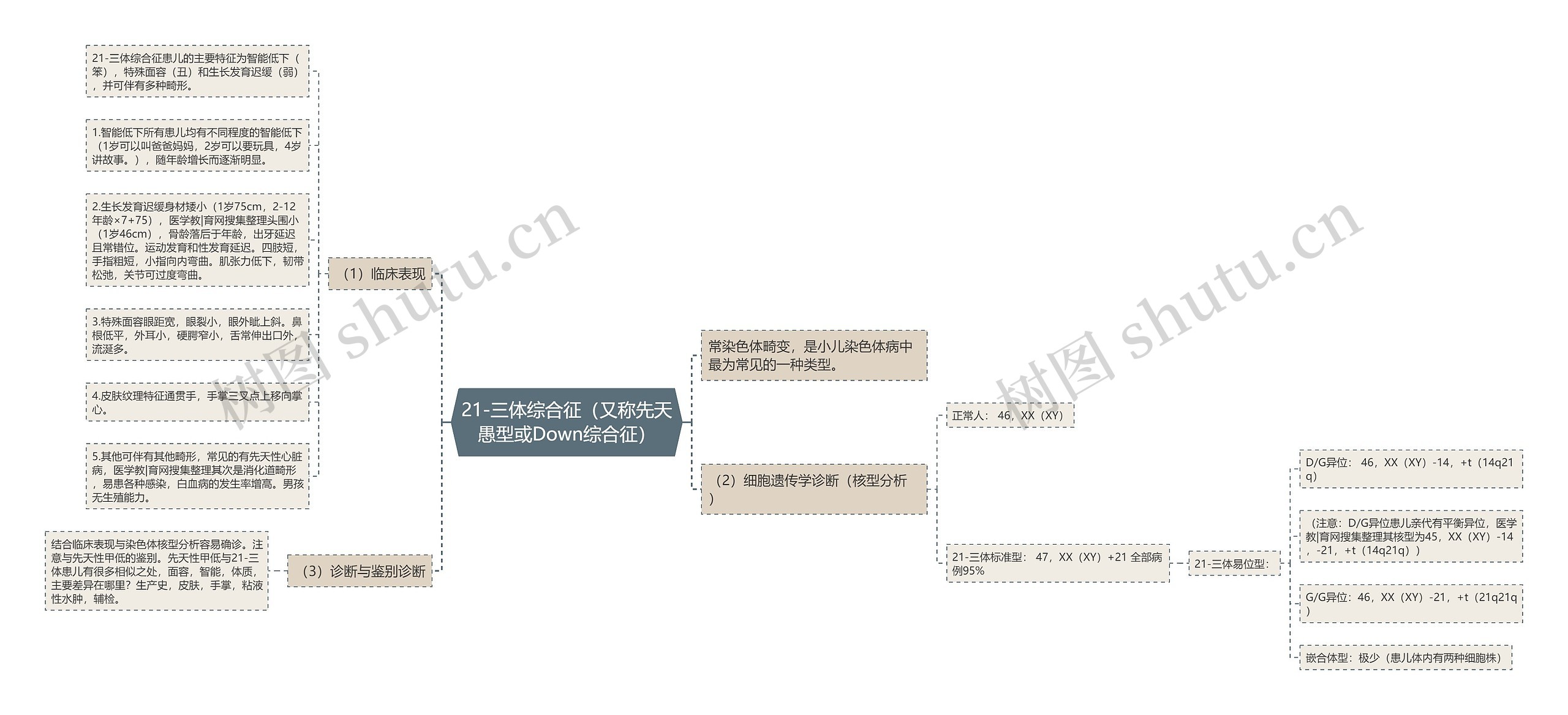 21-三体综合征（又称先天愚型或Down综合征）