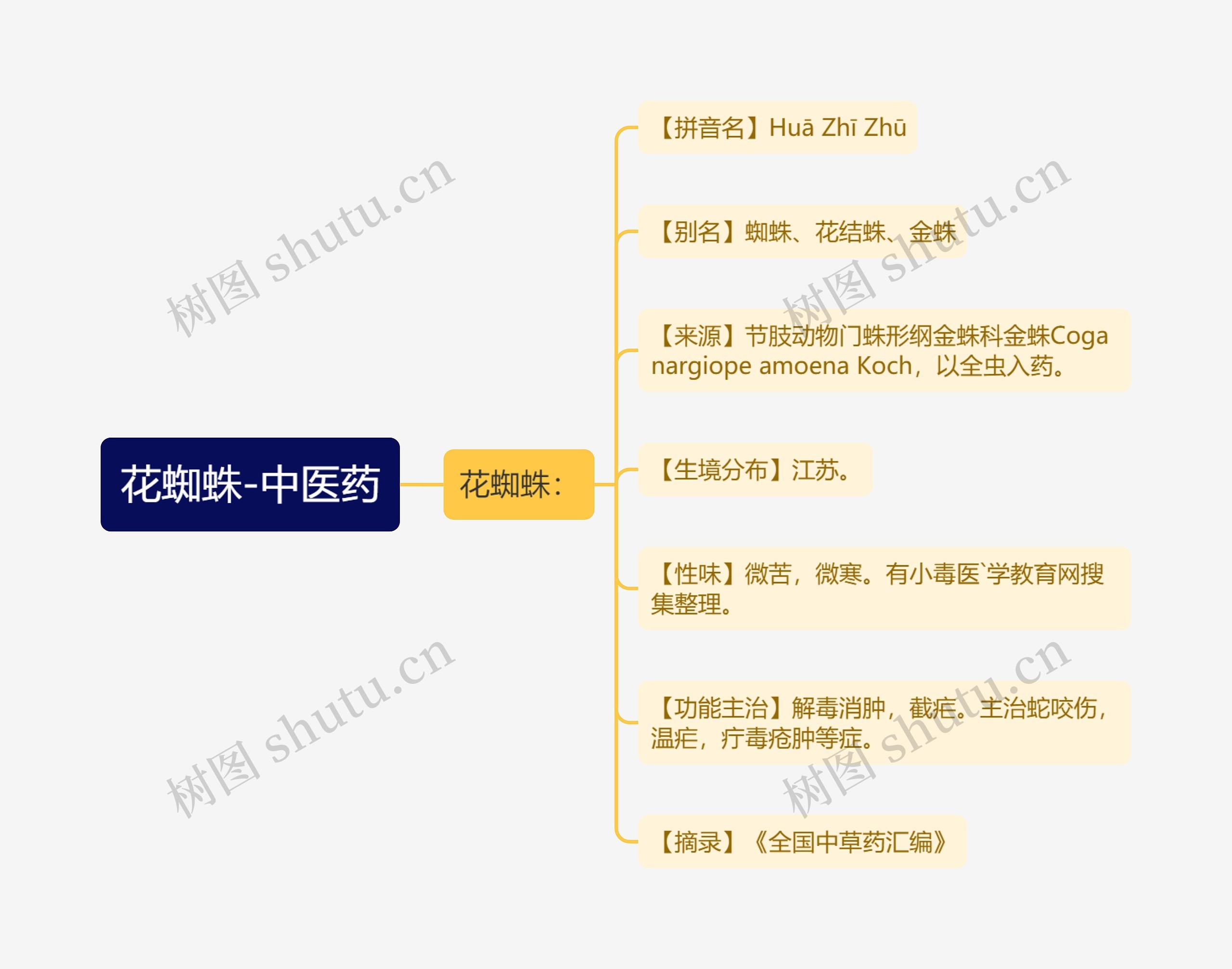 花蜘蛛-中医药 花蜘蛛-中医药