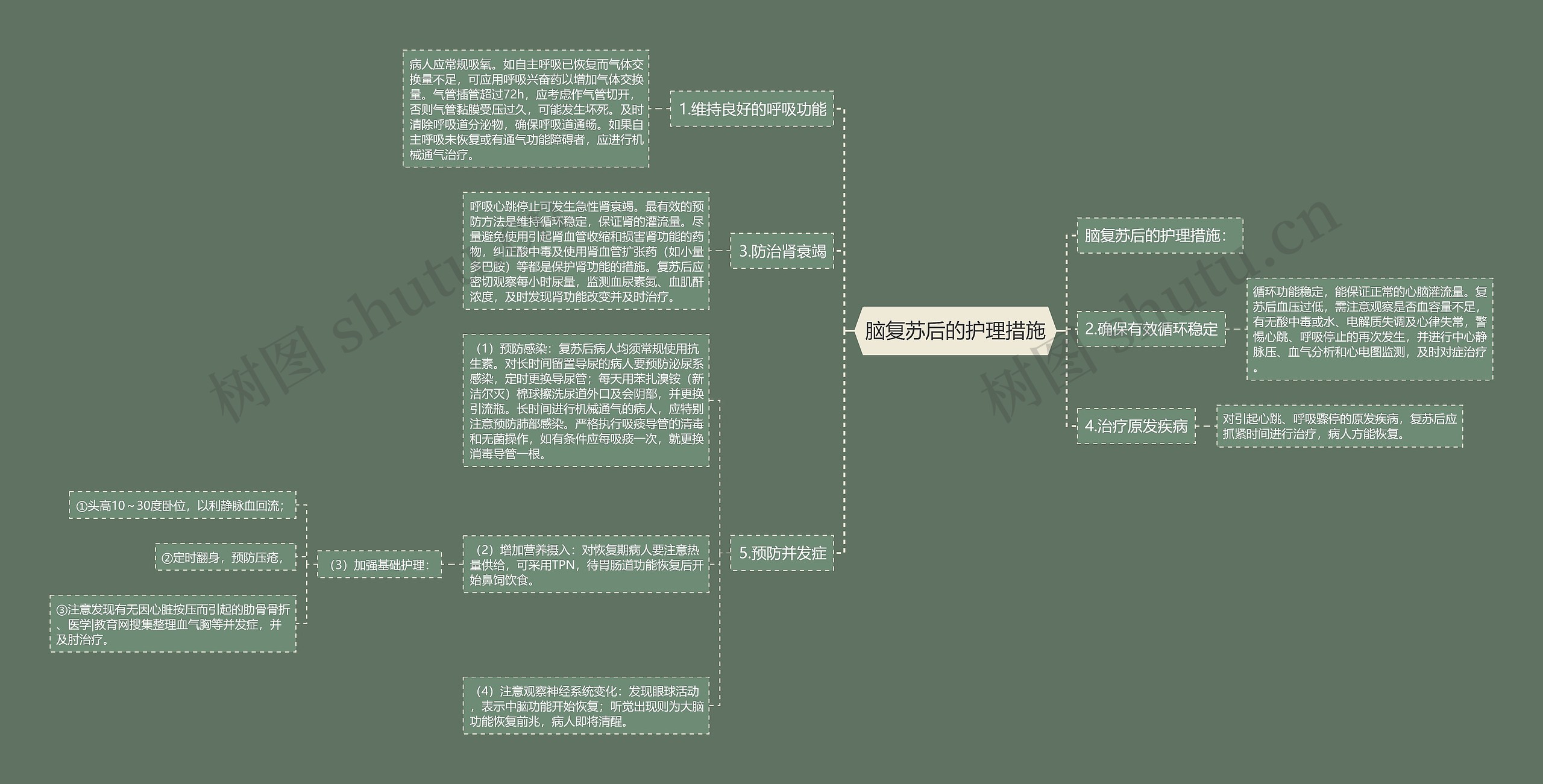 脑复苏后的护理措施思维导图