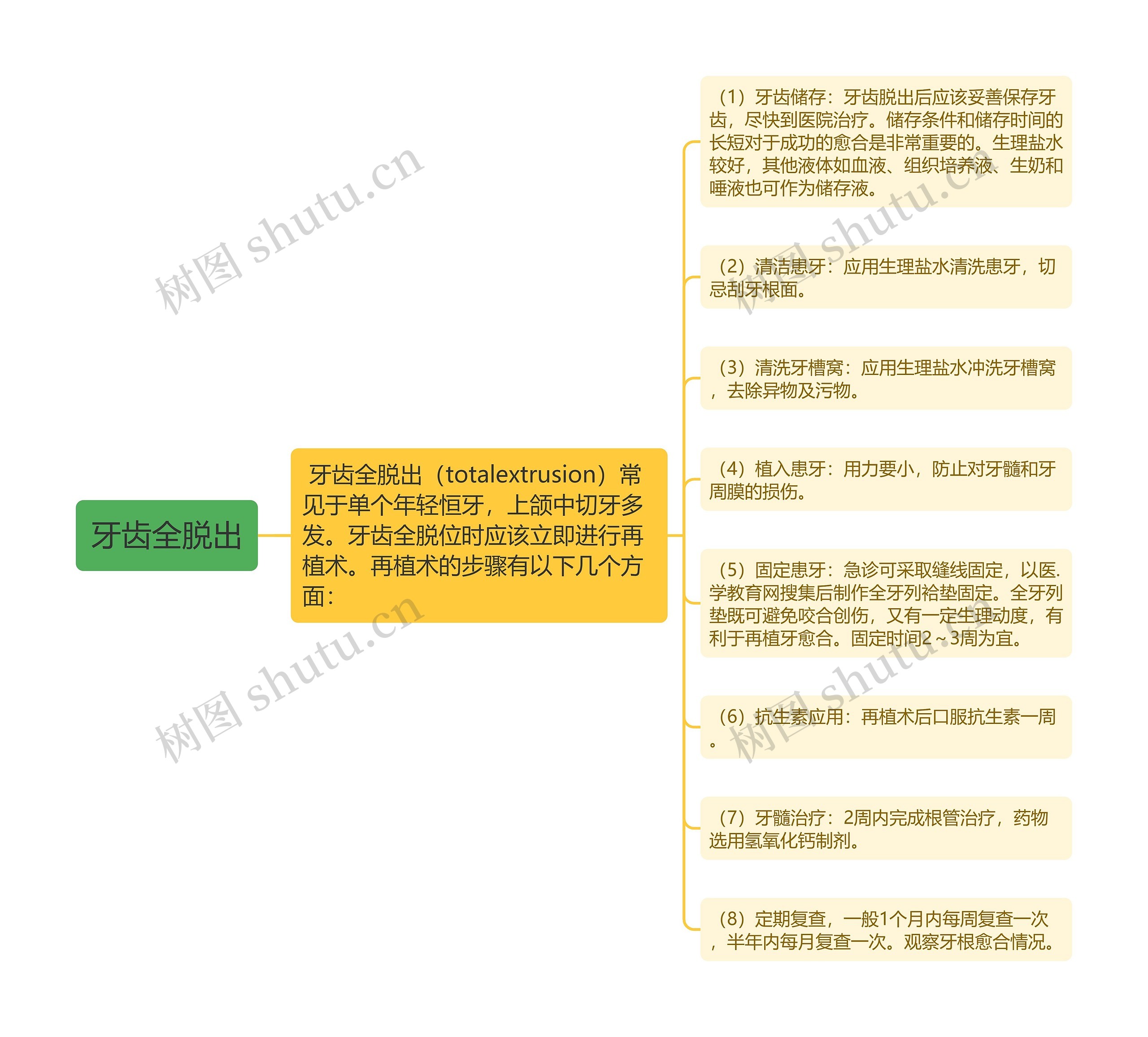 牙齿全脱出思维导图