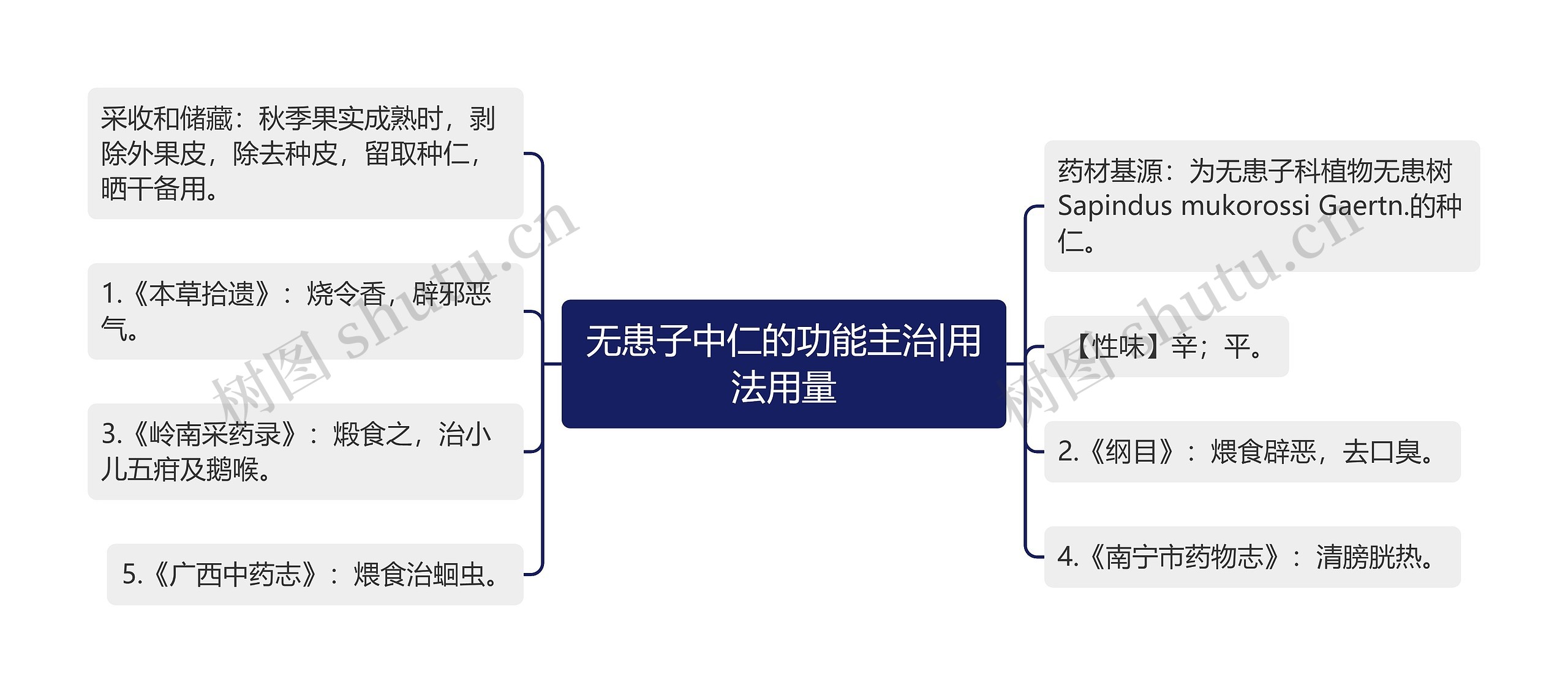 无患子中仁的功能主治|用法用量思维导图