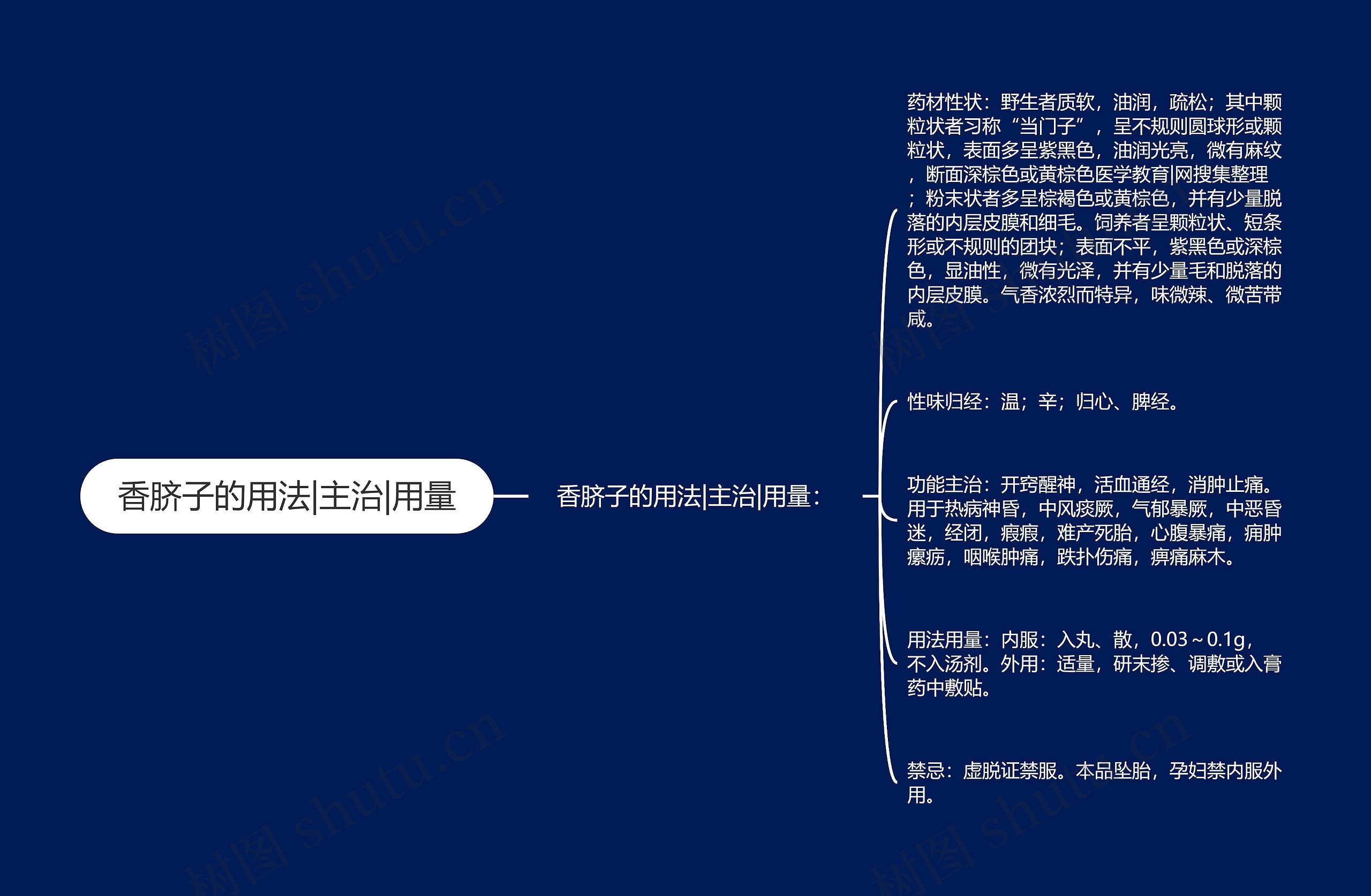 香脐子的用法|主治|用量