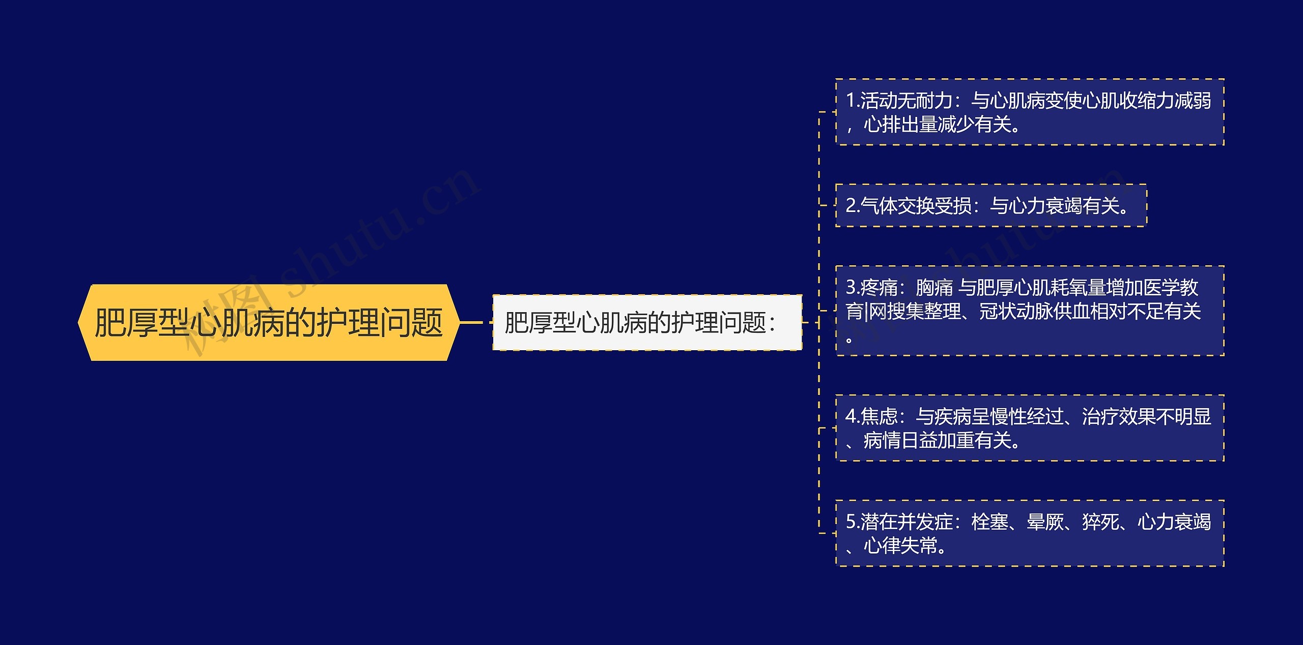 肥厚型心肌病的护理问题