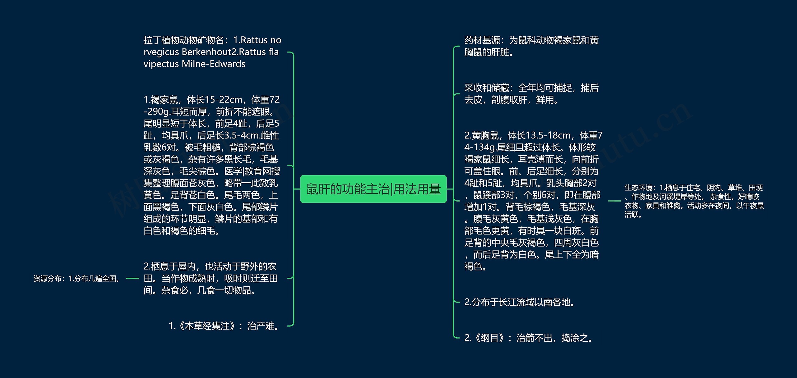 鼠肝的功能主治|用法用量思维导图