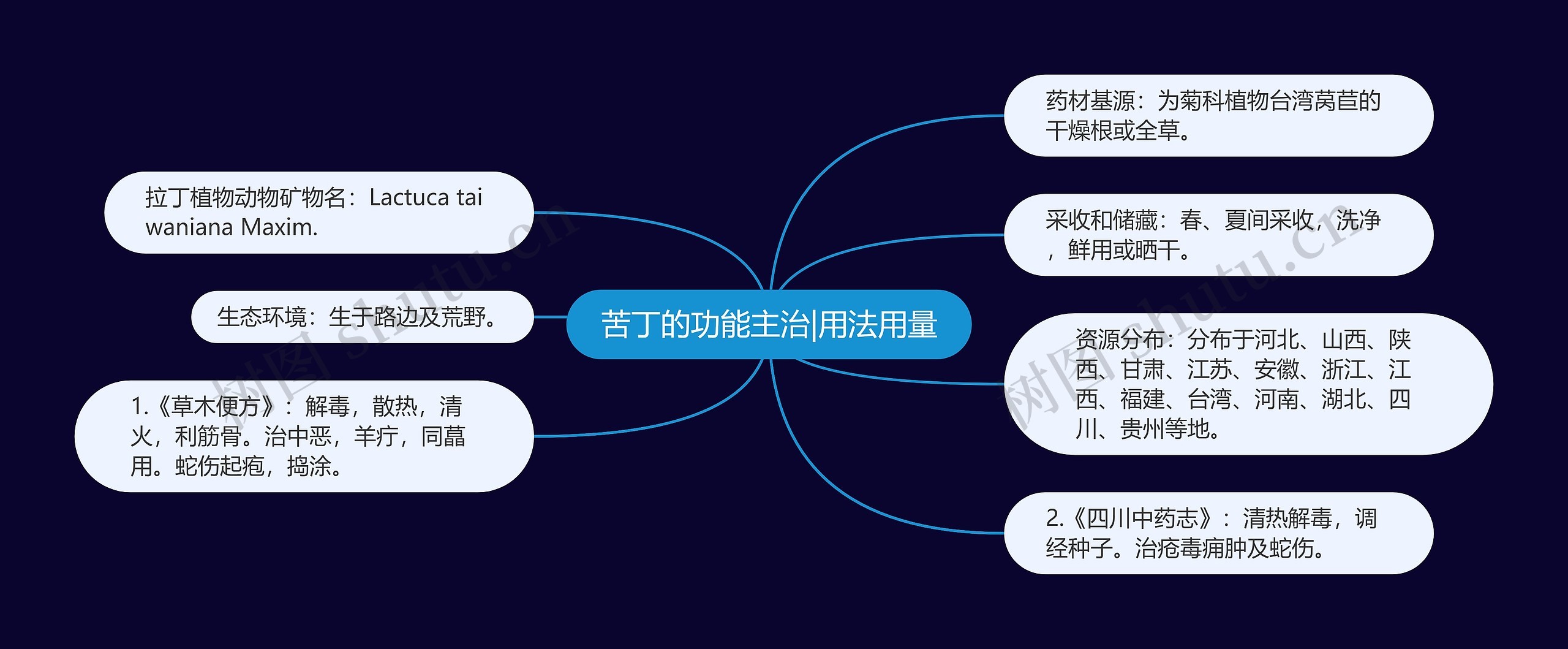 苦丁的功能主治|用法用量思维导图