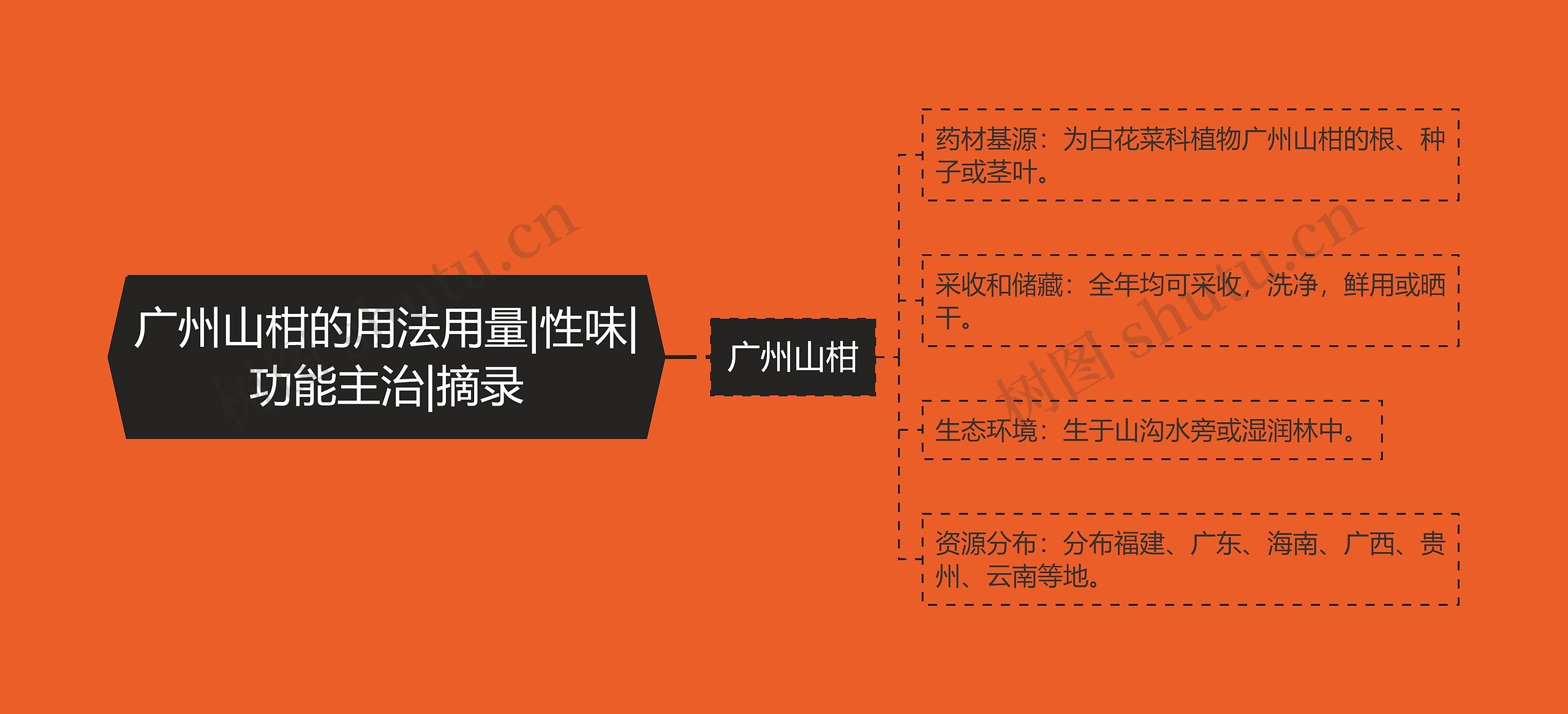 广州山柑的用法用量|性味|功能主治|摘录 广州山柑的用法用量|性味|功能主治|摘录