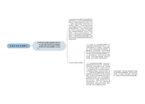 牙冠形态的生理意义